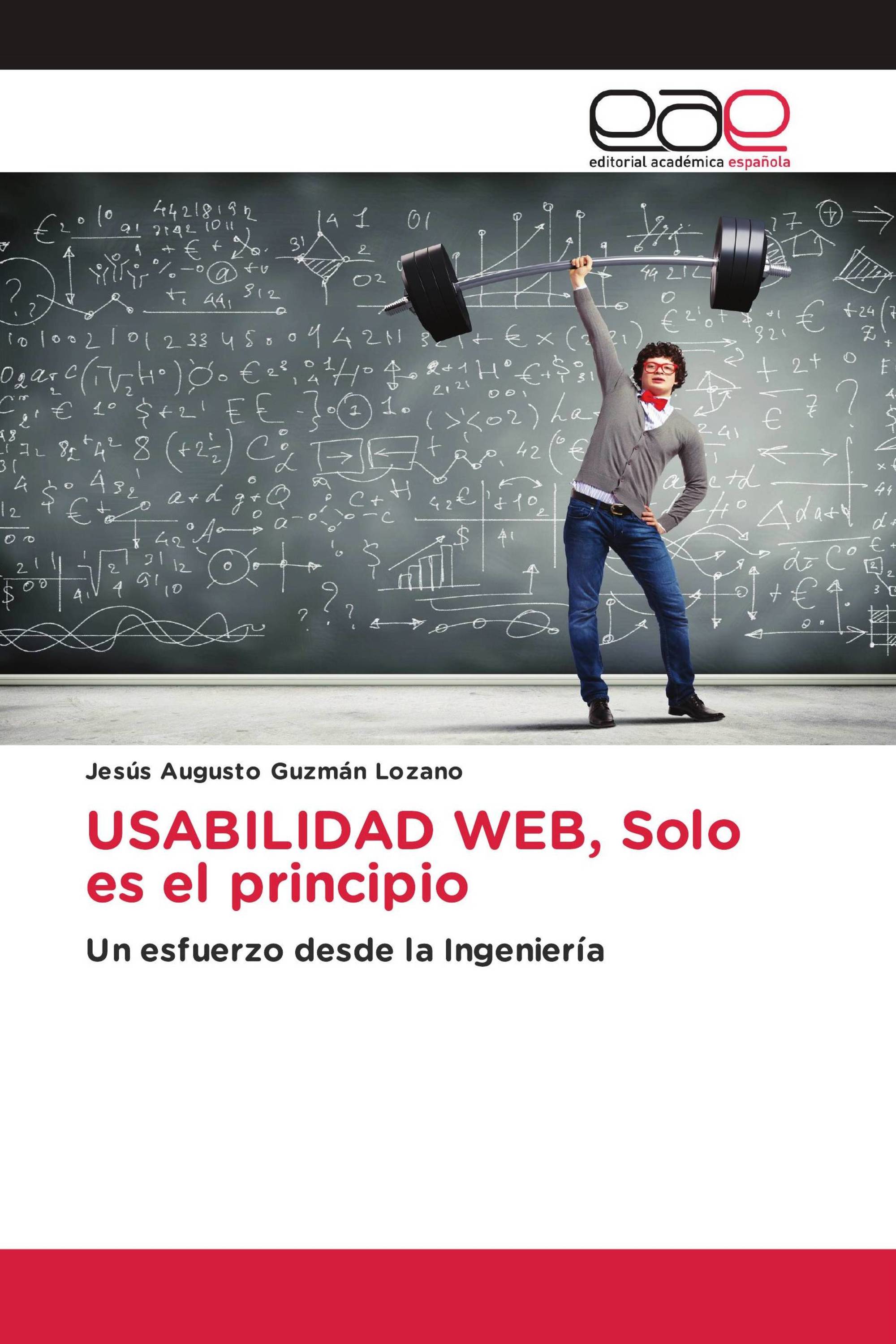 USABILIDAD WEB, Solo es el principio