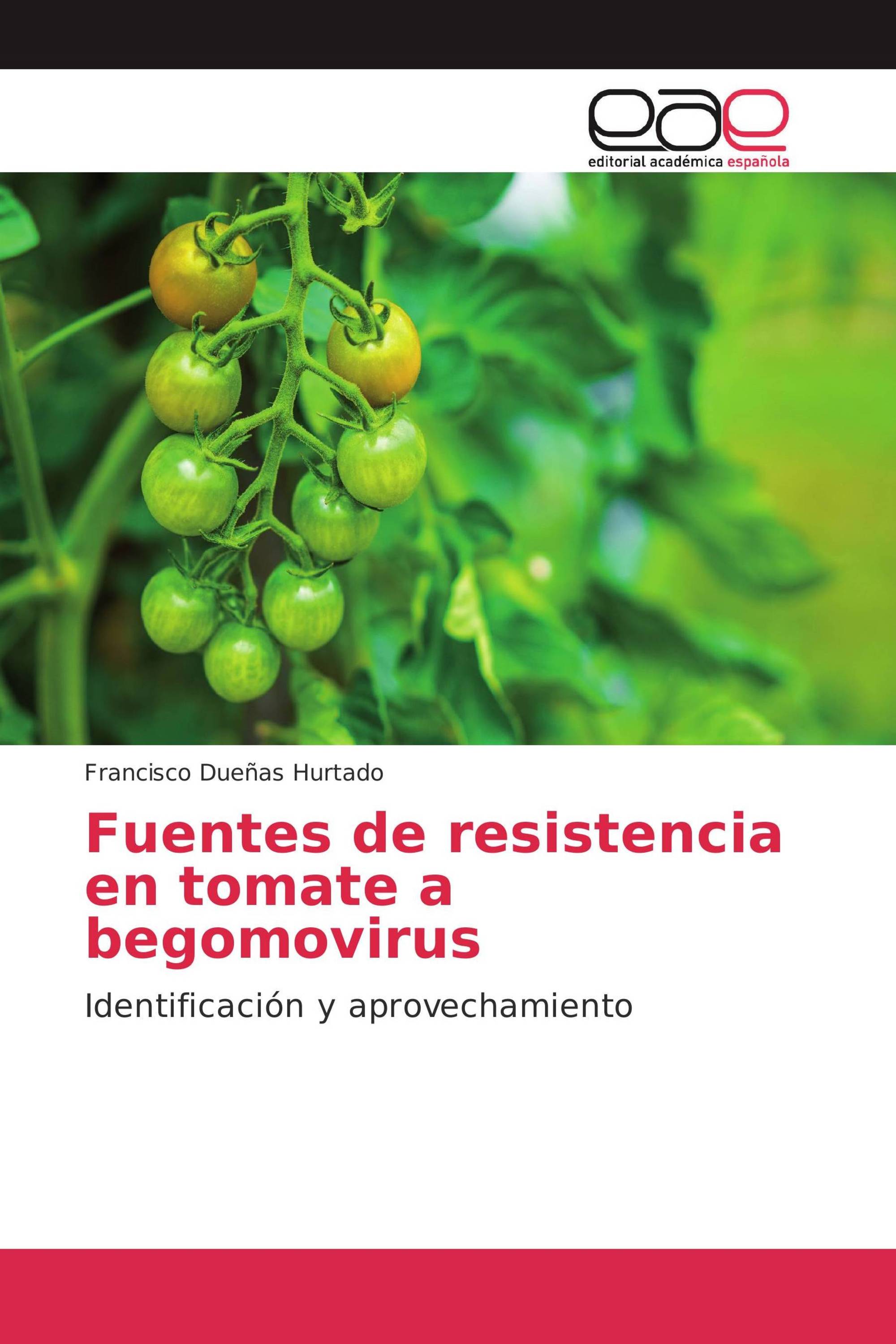 Fuentes de resistencia en tomate a begomovirus