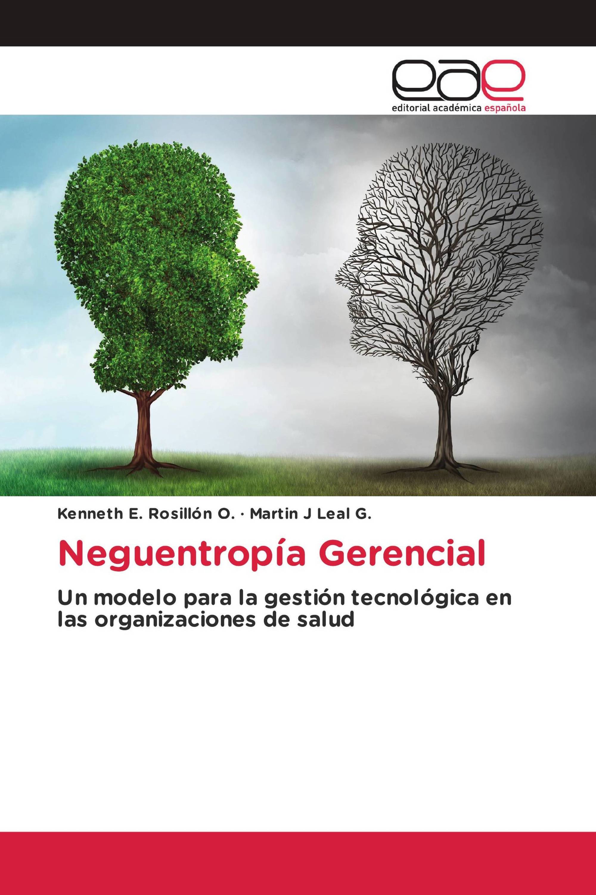 Neguentropía Gerencial