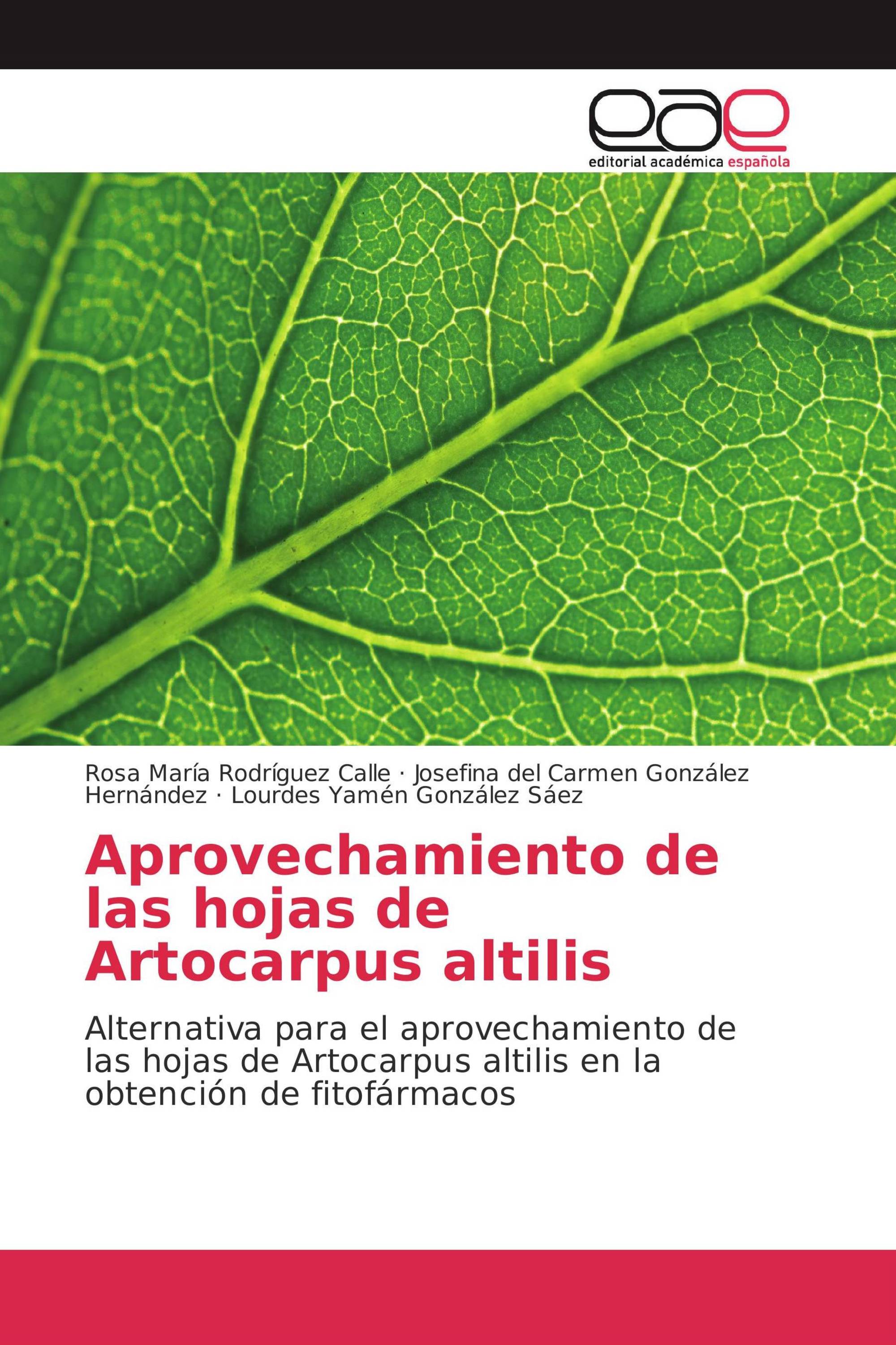 Aprovechamiento de las hojas de Artocarpus altilis