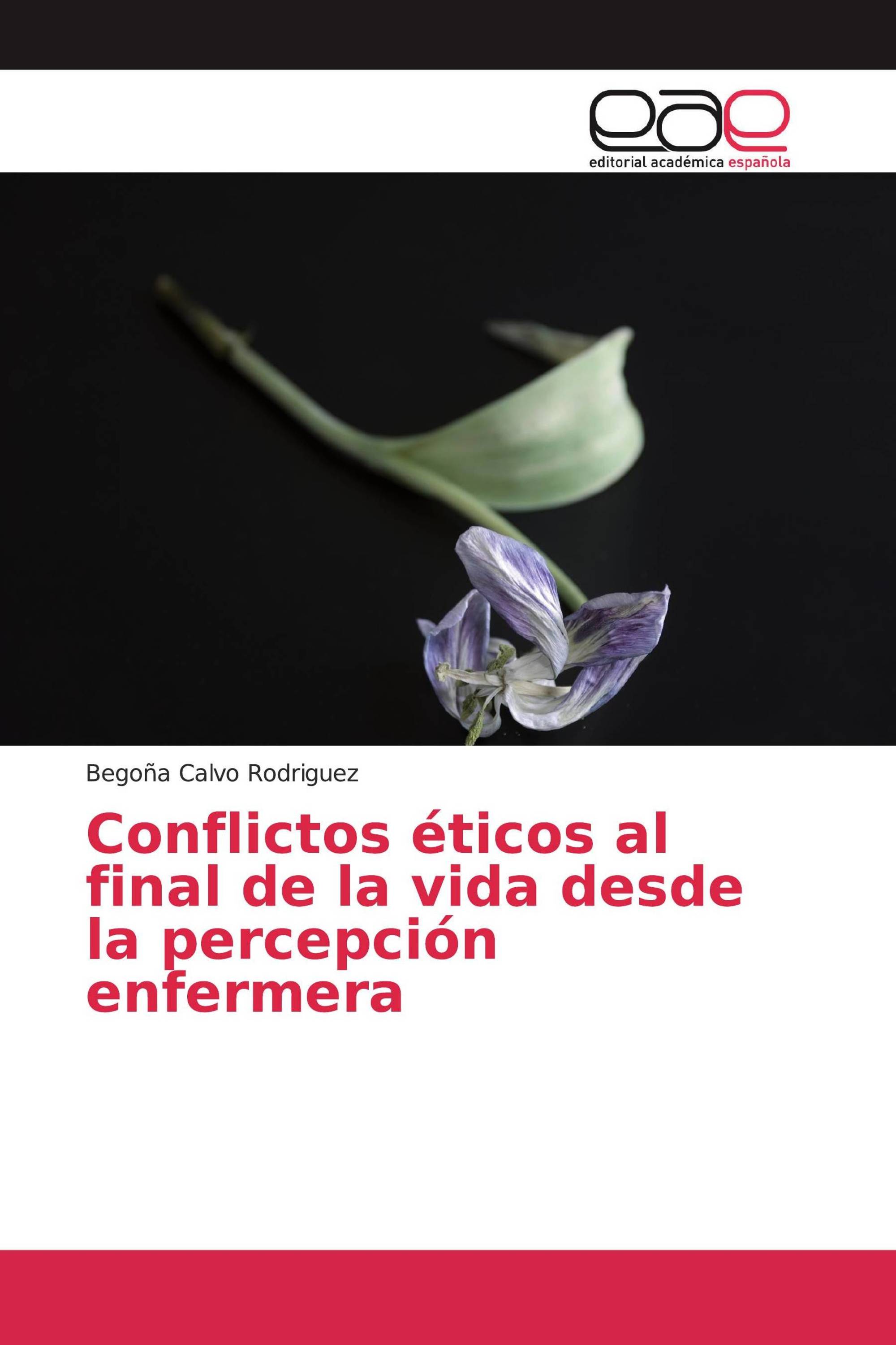 Conflictos éticos al final de la vida desde la percepción enfermera