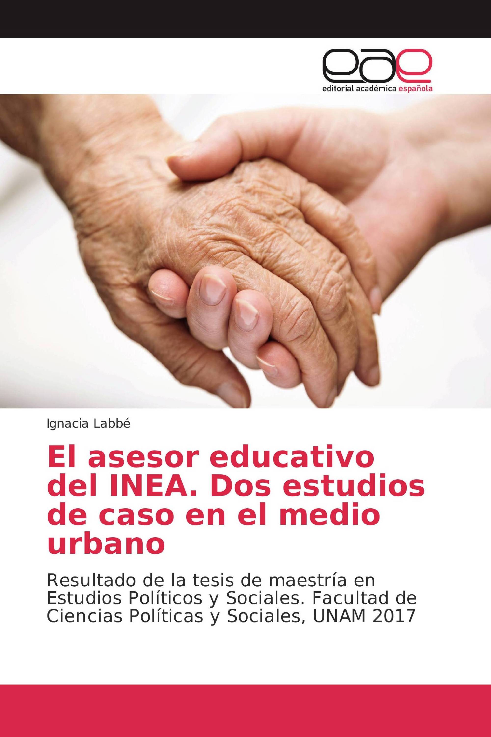 El asesor educativo del INEA. Dos estudios de caso en el medio urbano