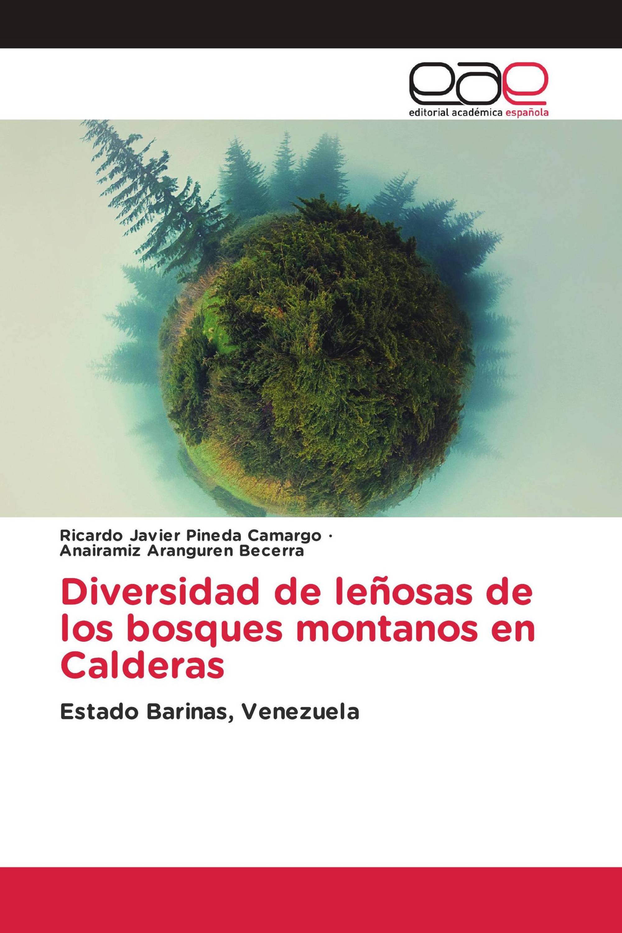 Diversidad de leñosas de los bosques montanos en Calderas