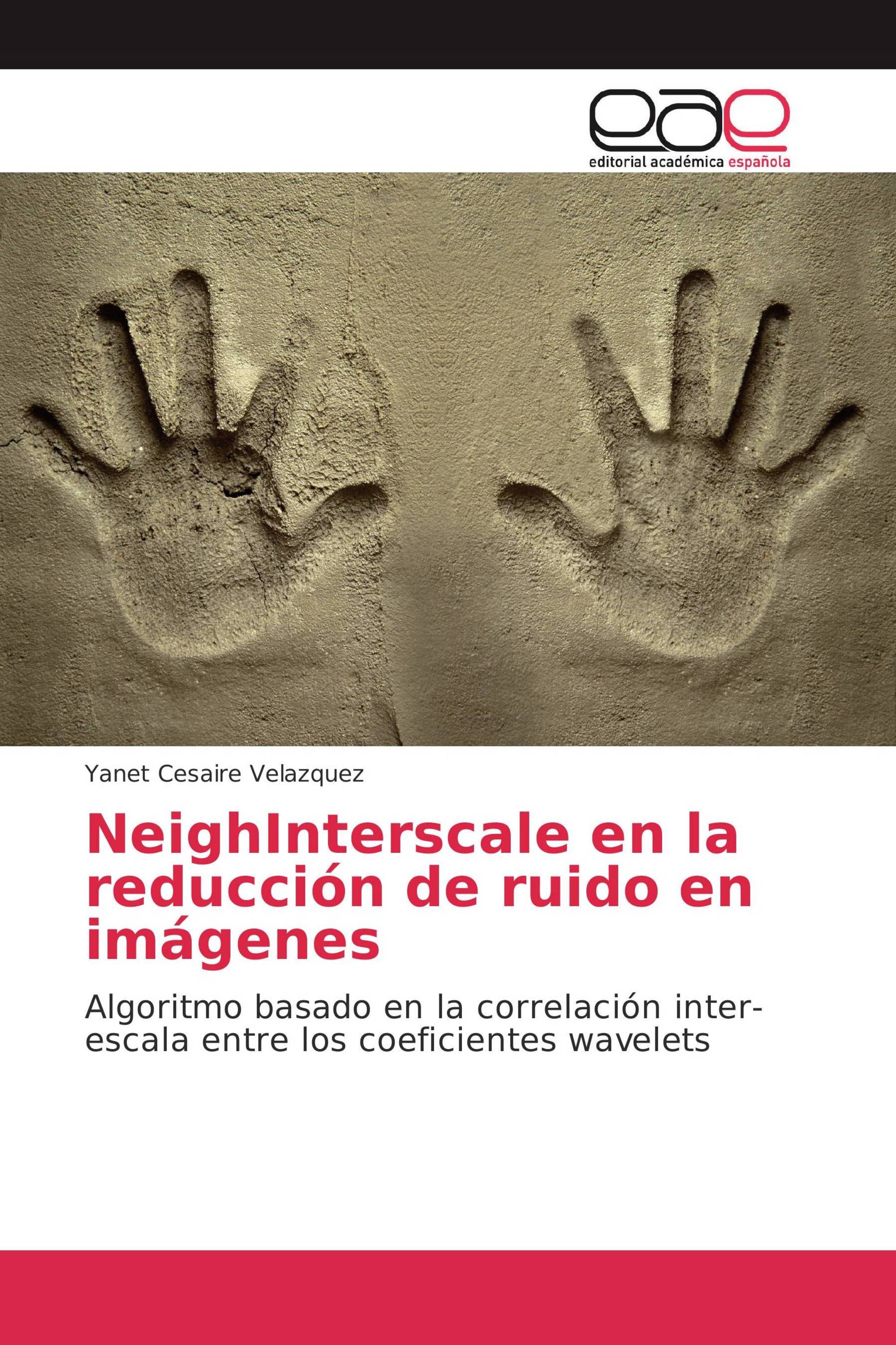 NeighInterscale en la reducción de ruido en imágenes