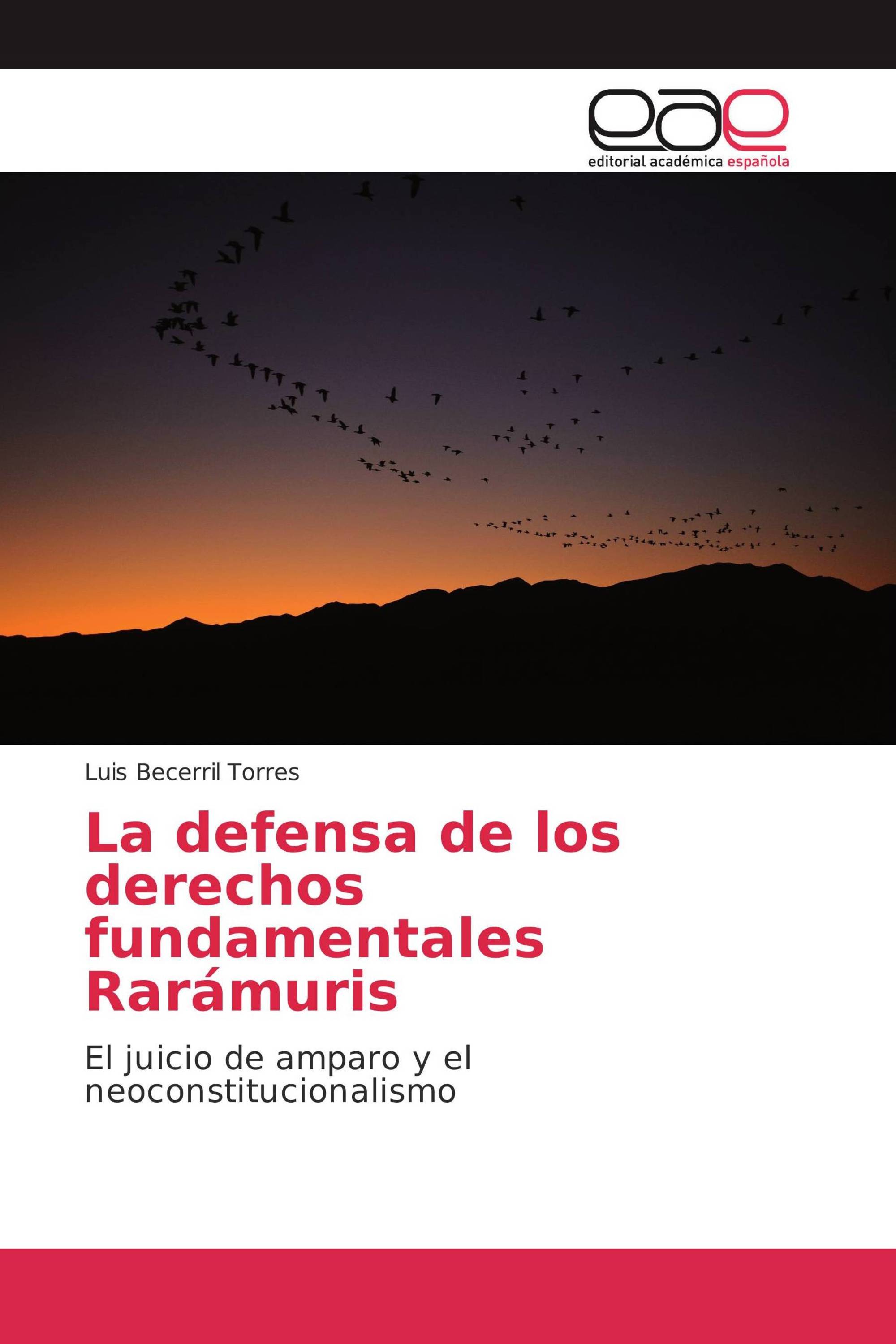 La defensa de los derechos fundamentales Rarámuris