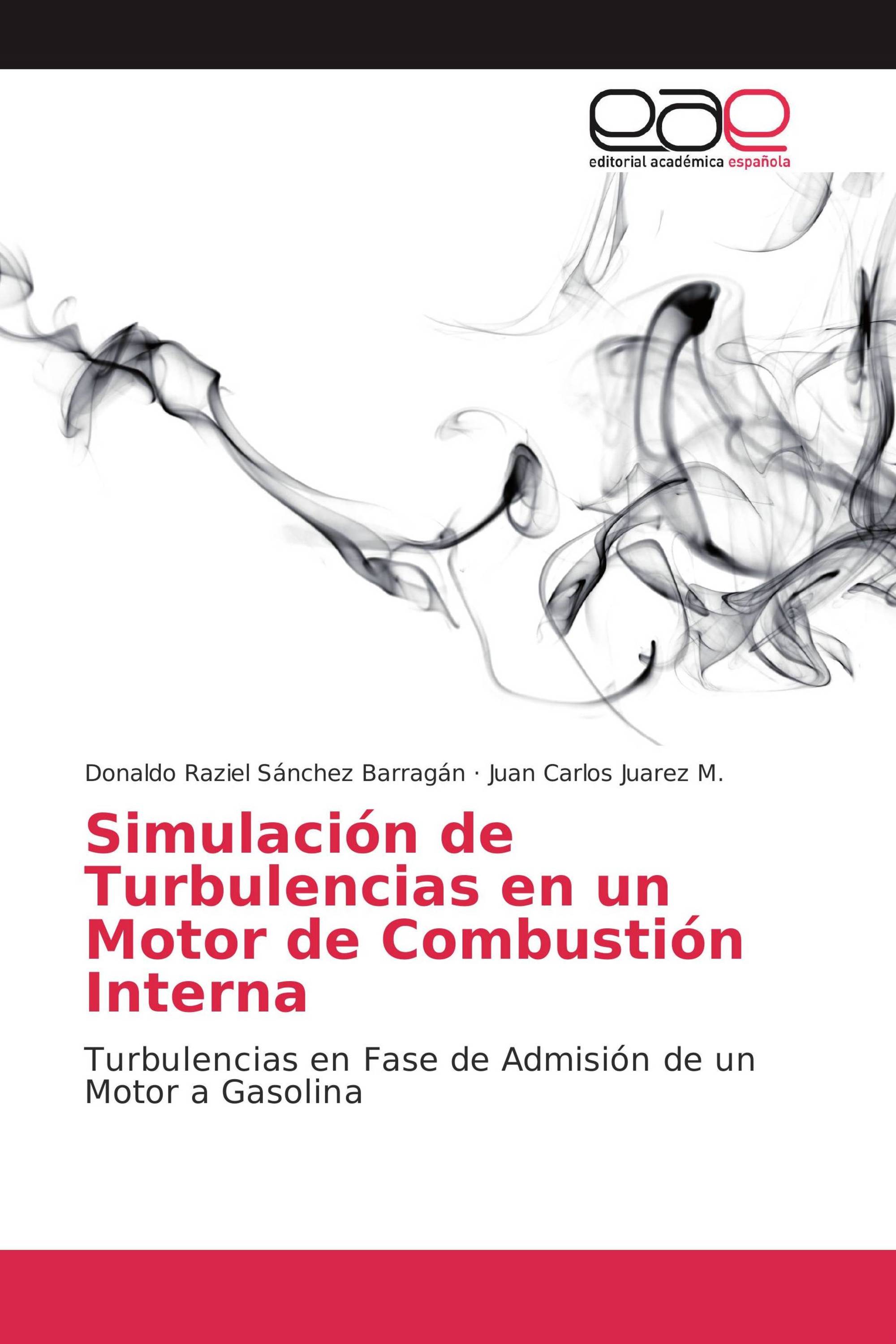 Simulación de Turbulencias en un Motor de Combustión Interna