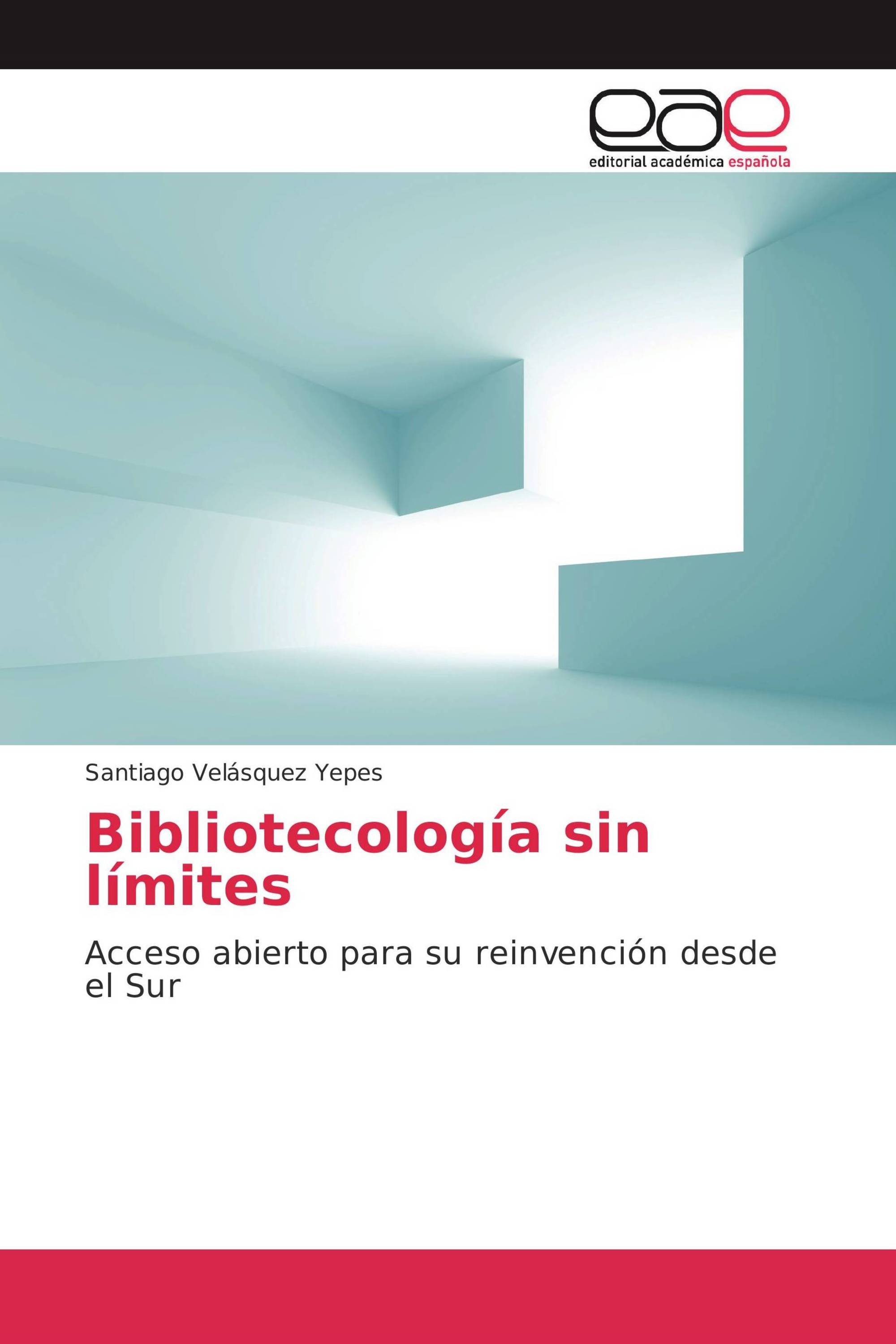 Bibliotecología sin límites