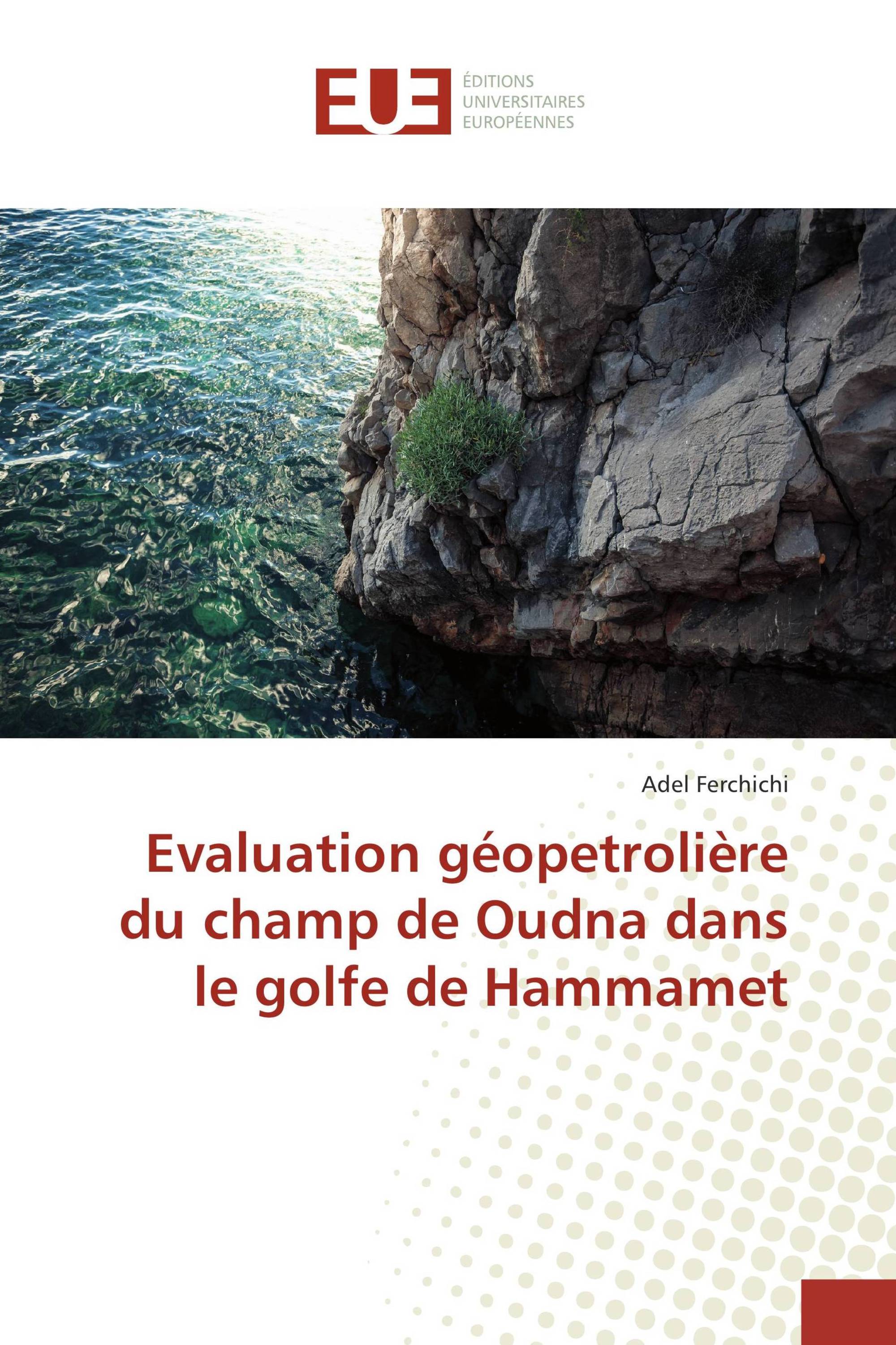 Evaluation géopetrolière du champ de Oudna dans le golfe de Hammamet