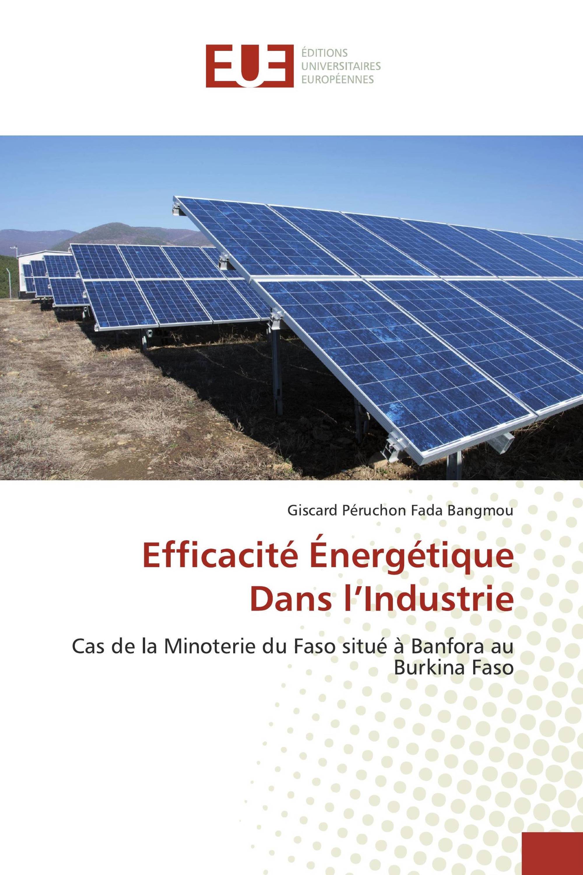 Efficacité Énergétique Dans l’Industrie