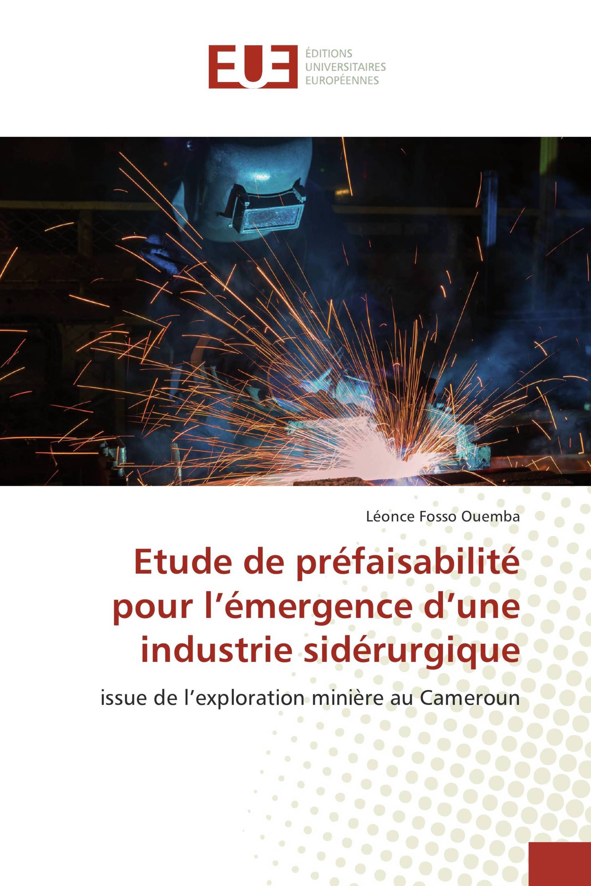 Etude de préfaisabilité pour l’émergence d’une industrie sidérurgique