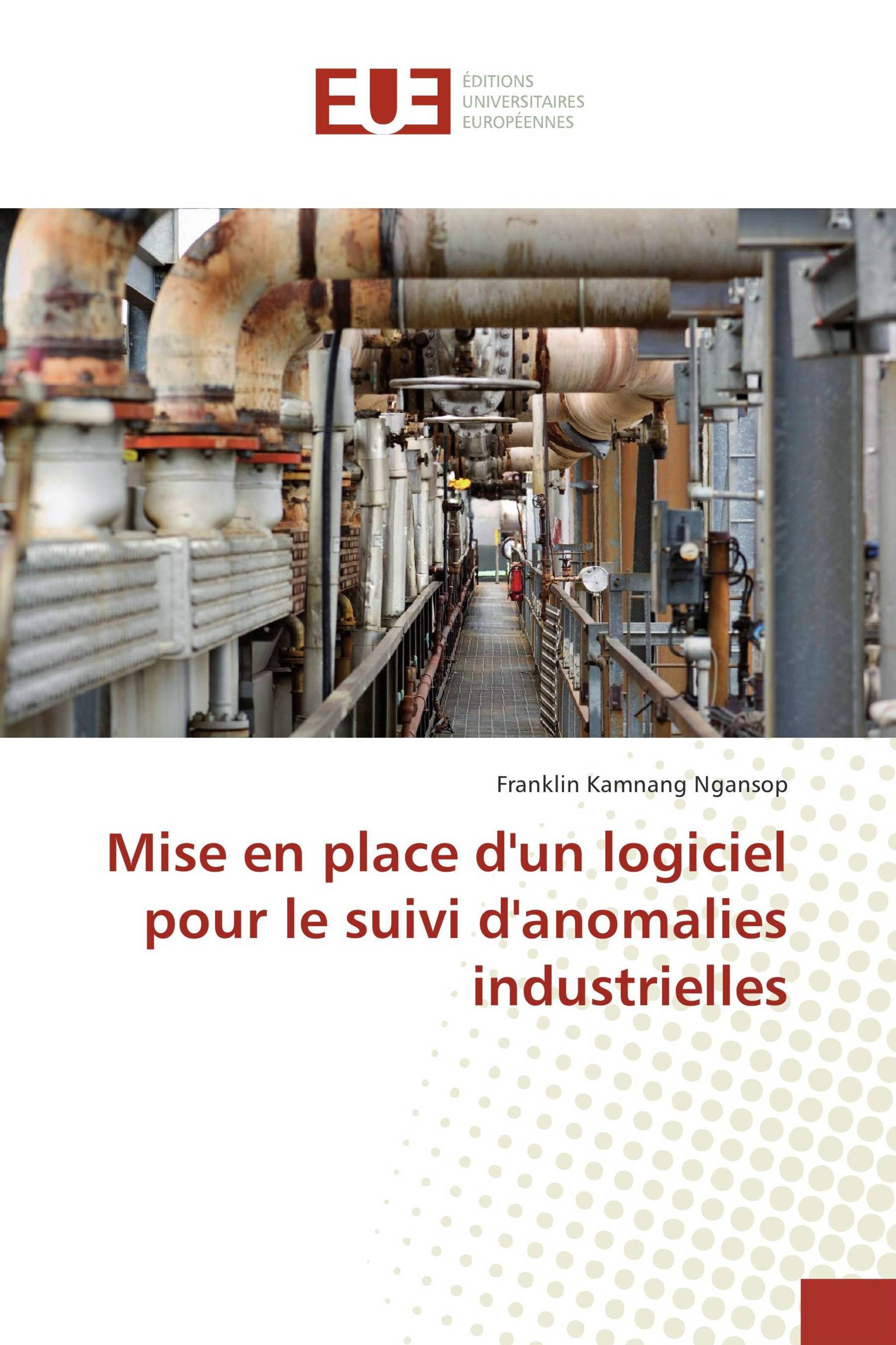 Mise en place d'un logiciel pour le suivi d'anomalies industrielles