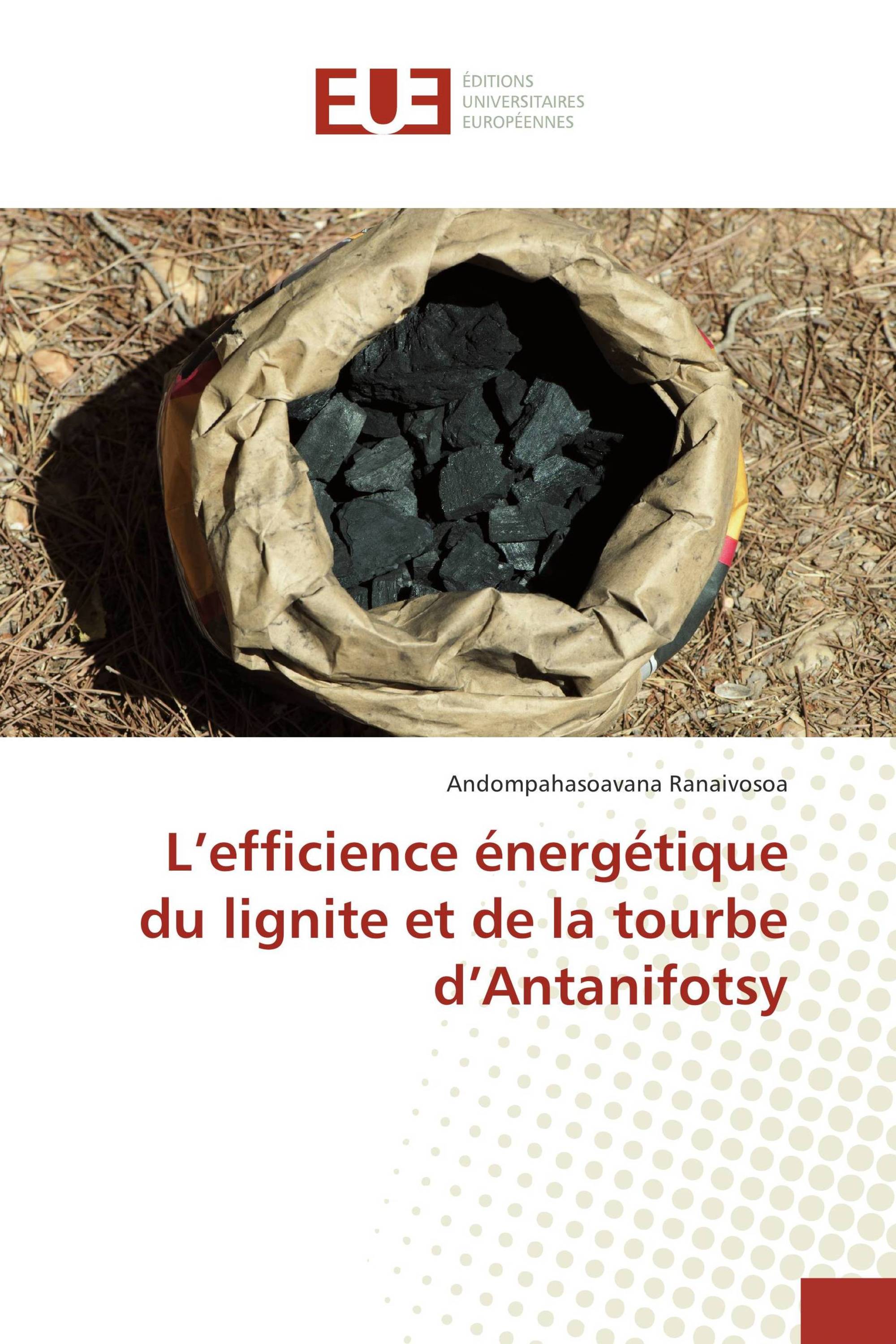 L’efficience énergétique du lignite et de la tourbe d’Antanifotsy