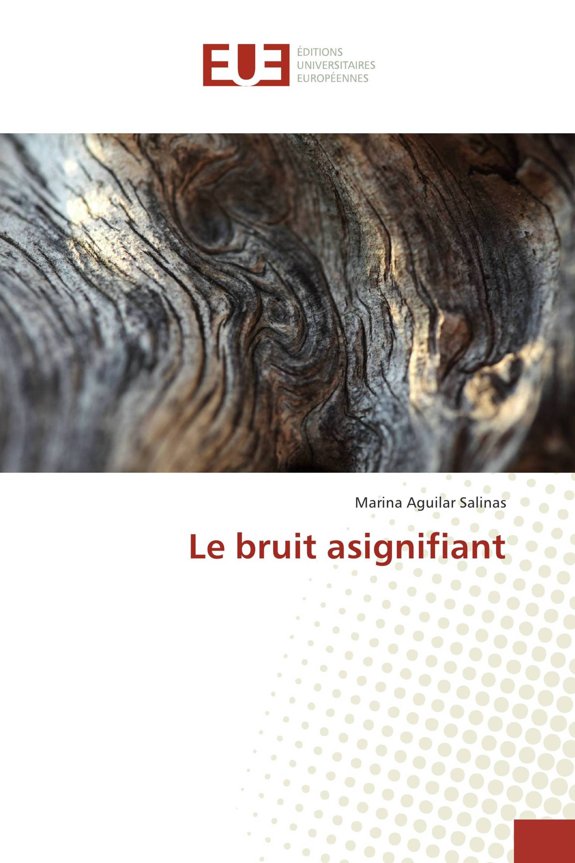 Le bruit asignifiant