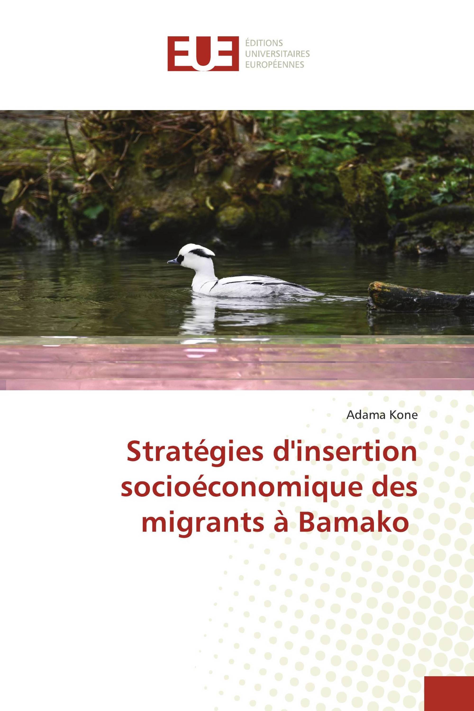 Stratégies d'insertion socioéconomique des migrants à Bamako