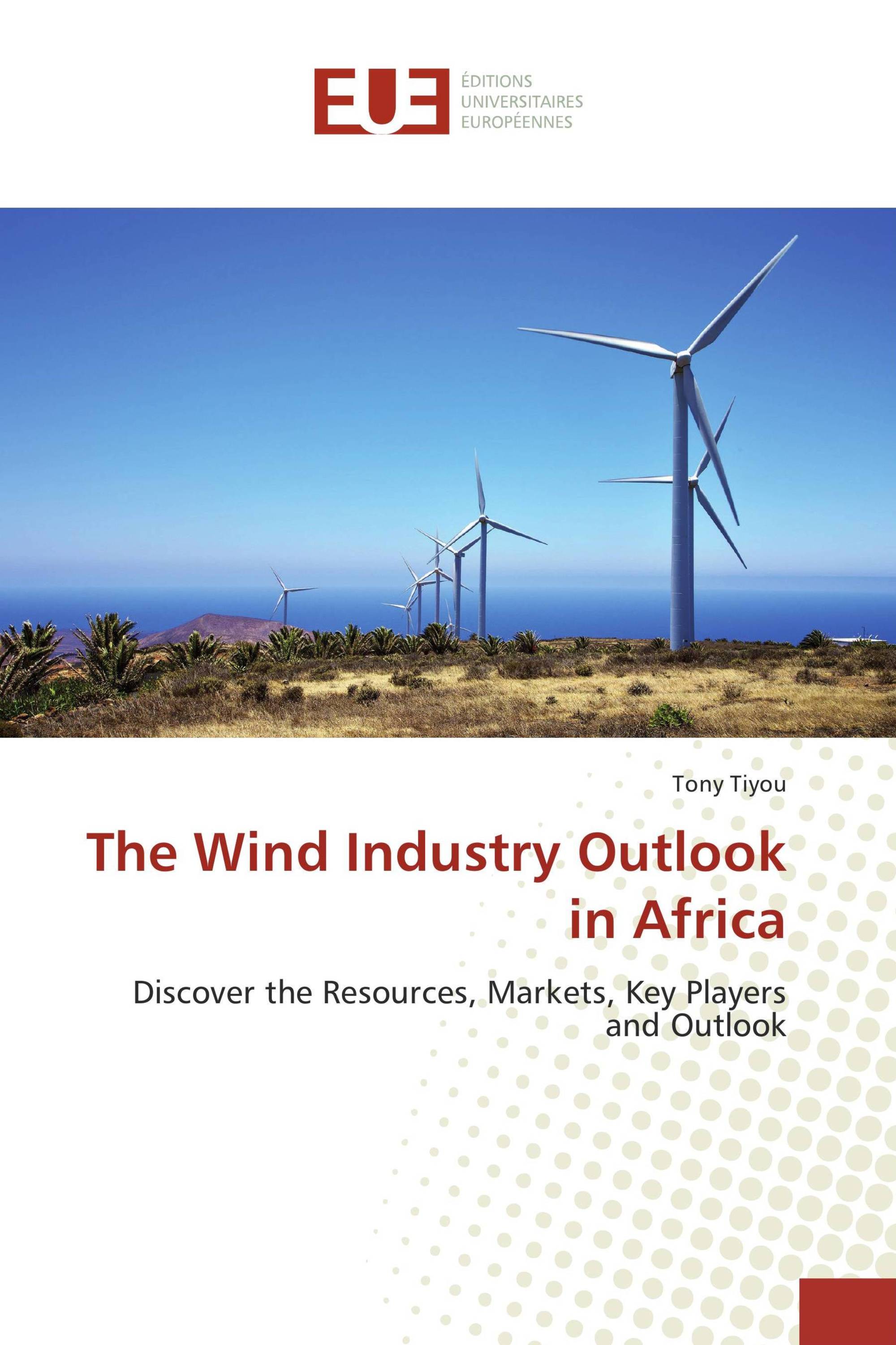 The Wind Industry Outlook in Africa