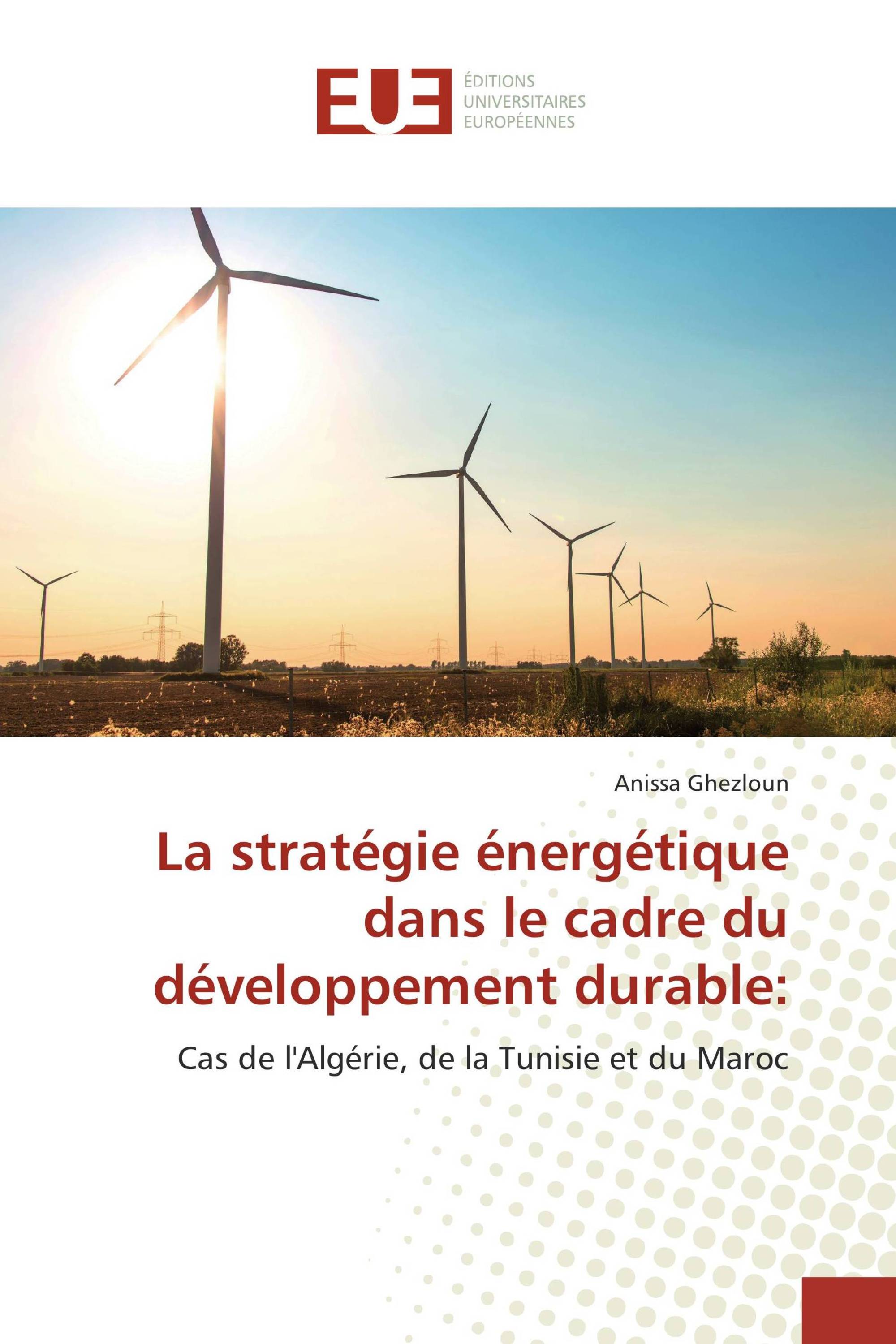 La stratégie énergétique dans le cadre du développement durable: