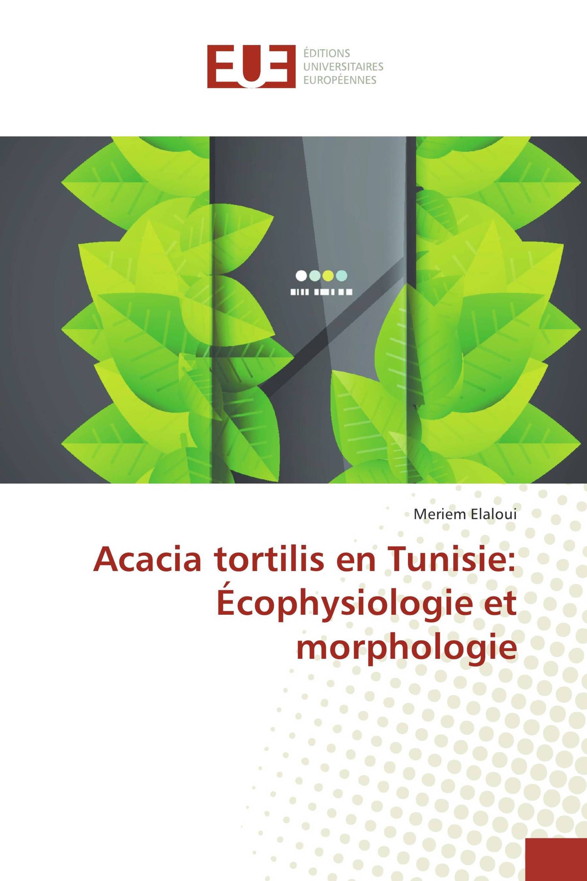 Acacia tortilis en Tunisie: Écophysiologie et morphologie