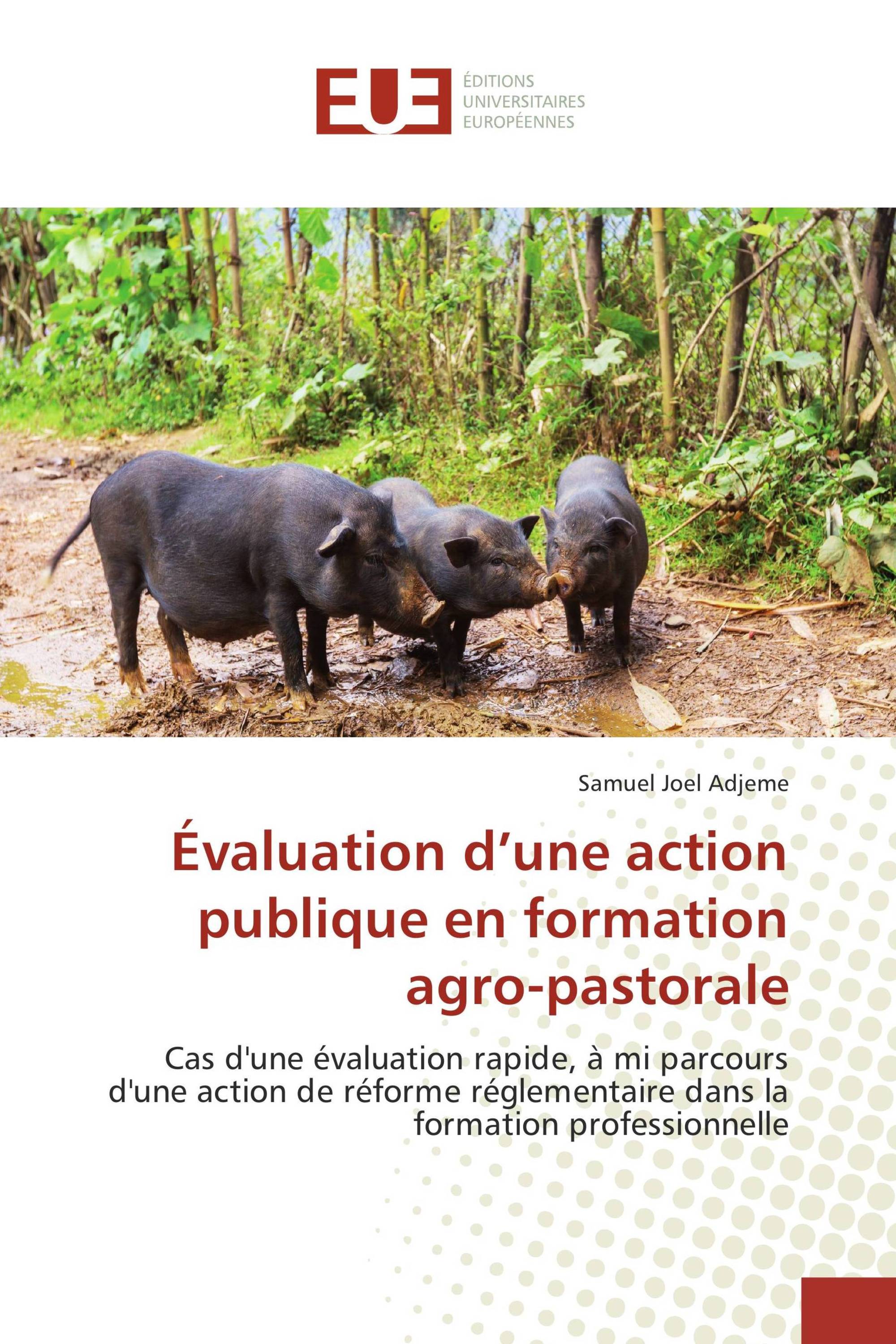 Évaluation d’une action publique en formation agro-pastorale