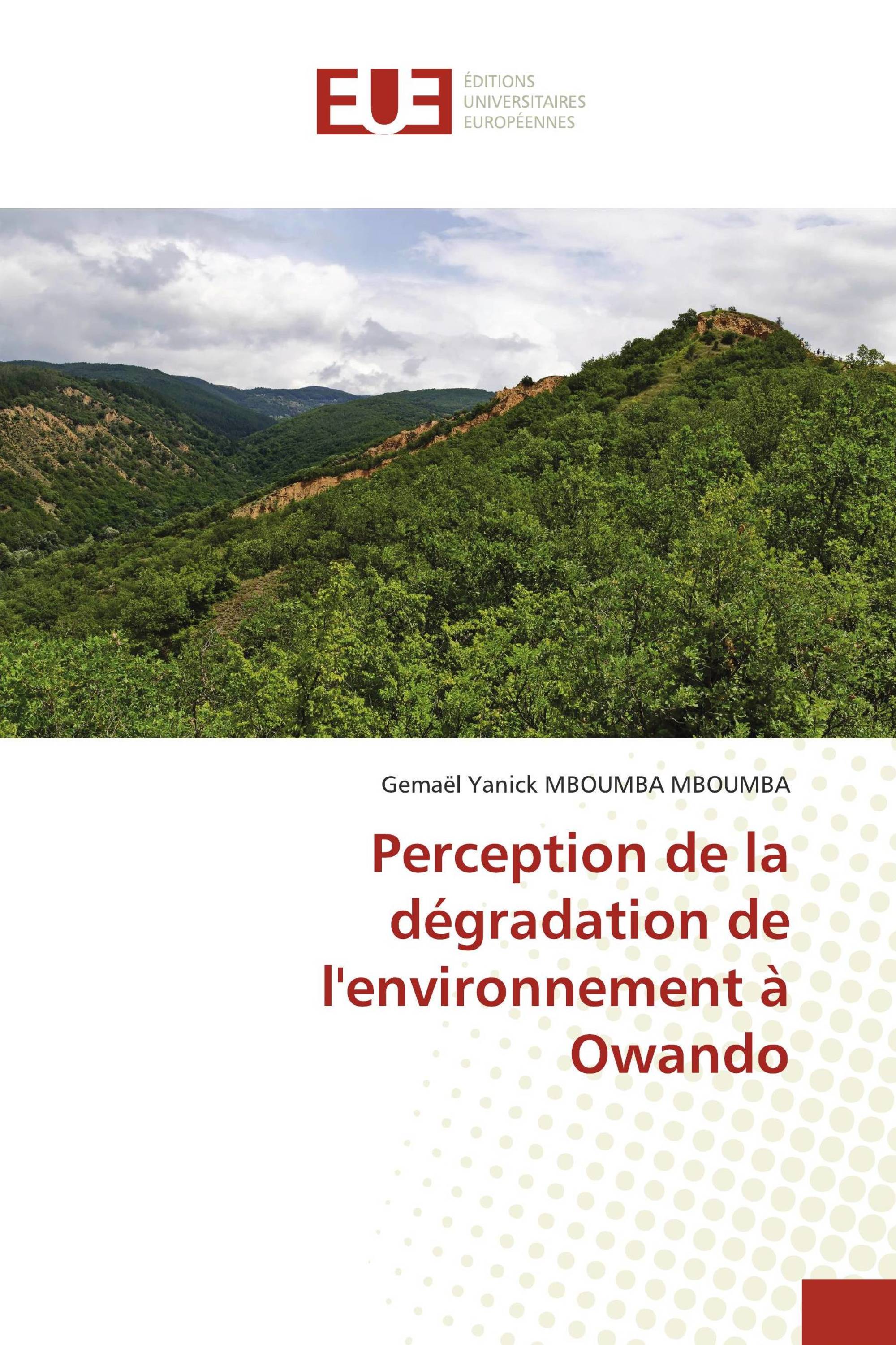 Perception de la dégradation de l'environnement à Owando