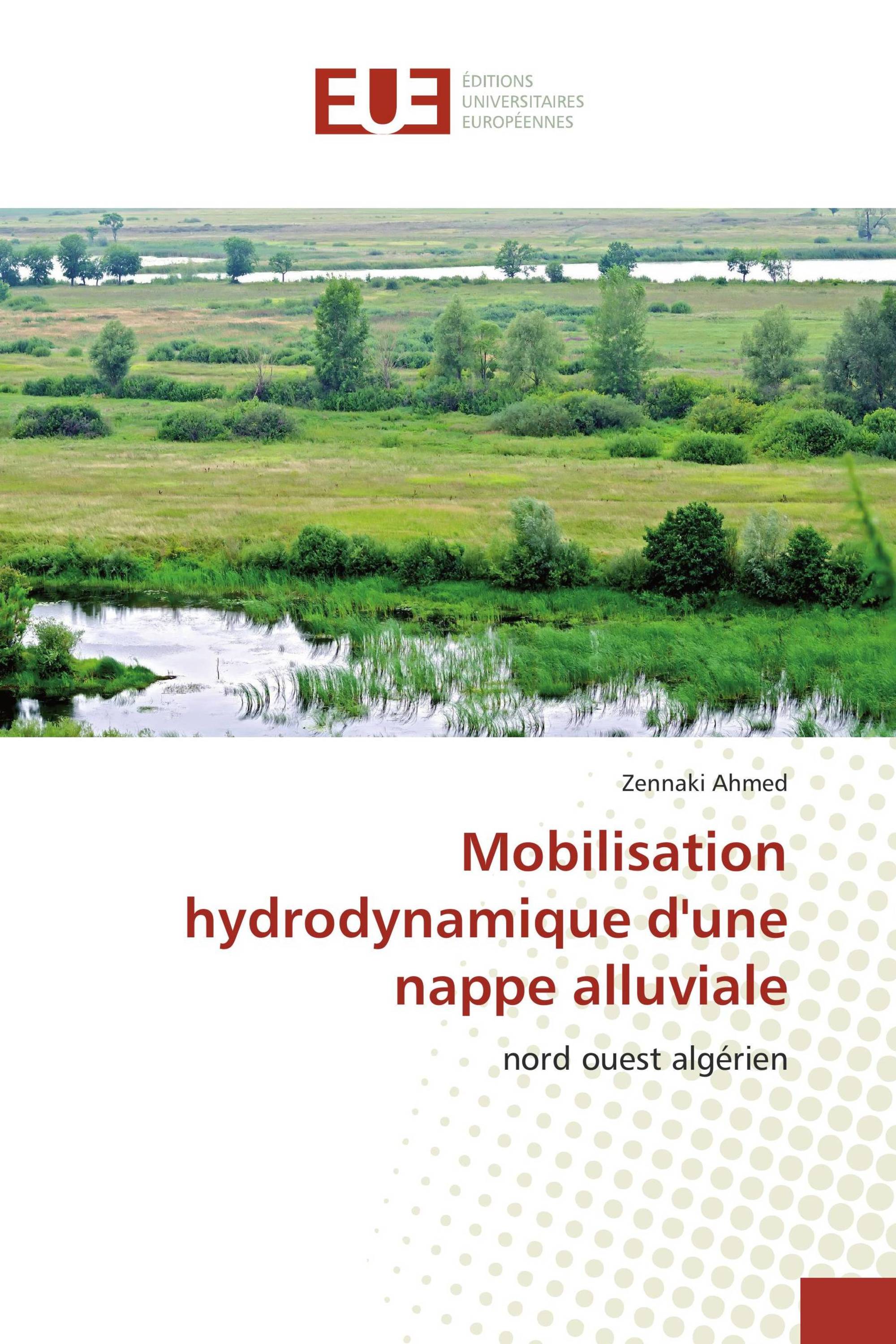 Mobilisation hydrodynamique d'une nappe alluviale