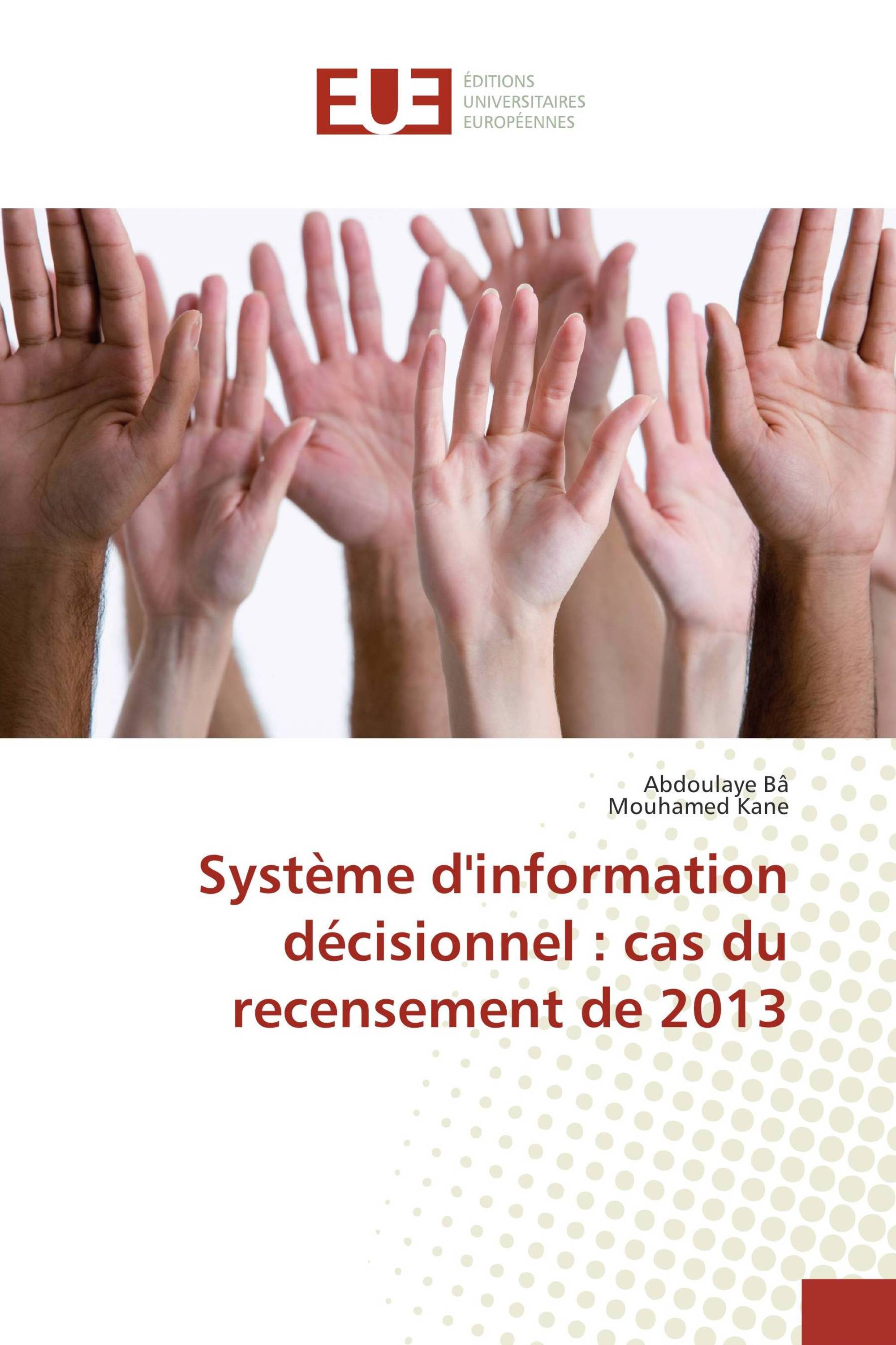 Système d'information décisionnel : cas du recensement de 2013