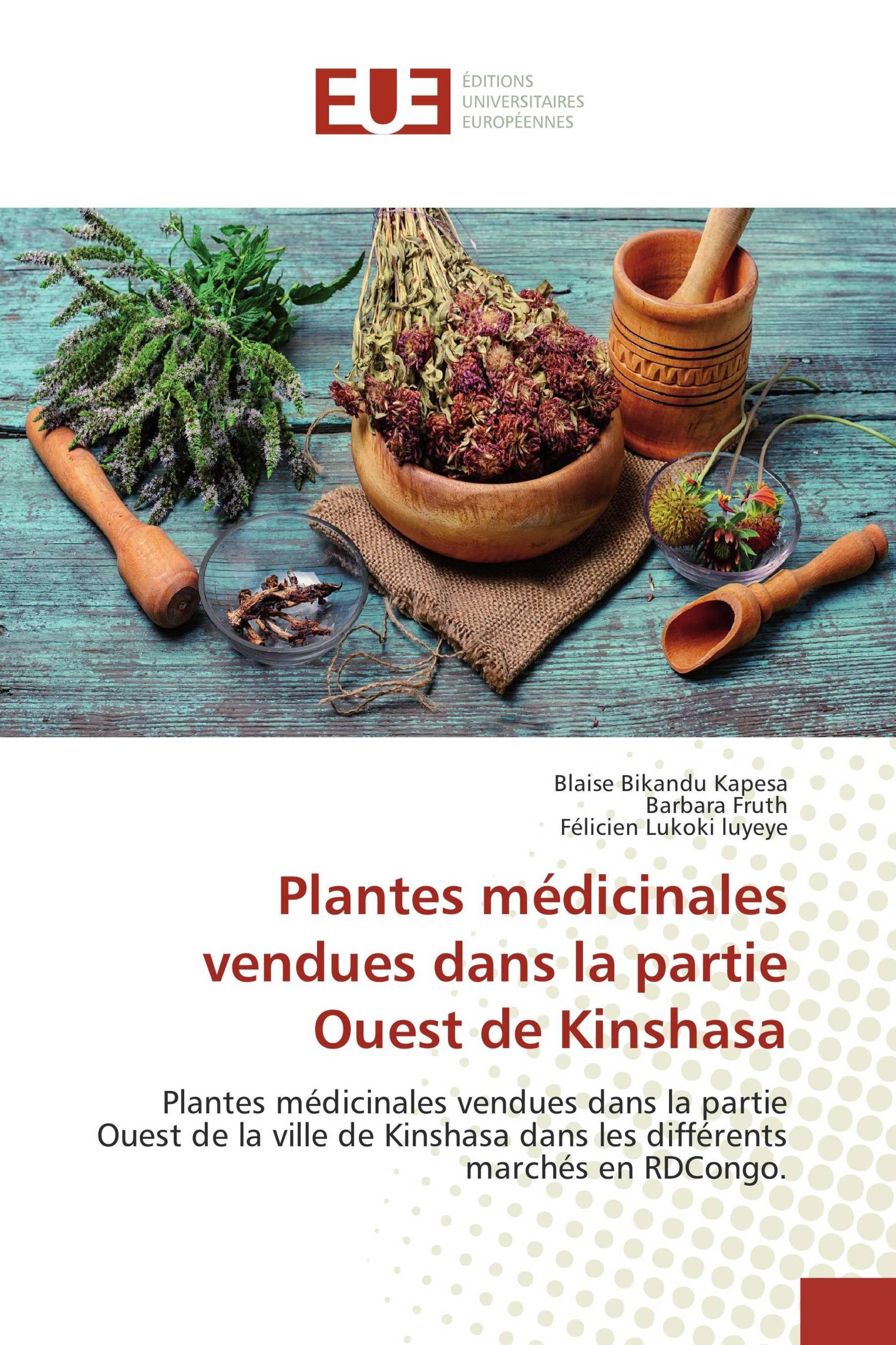 Plantes médicinales vendues dans la partie Ouest de Kinshasa