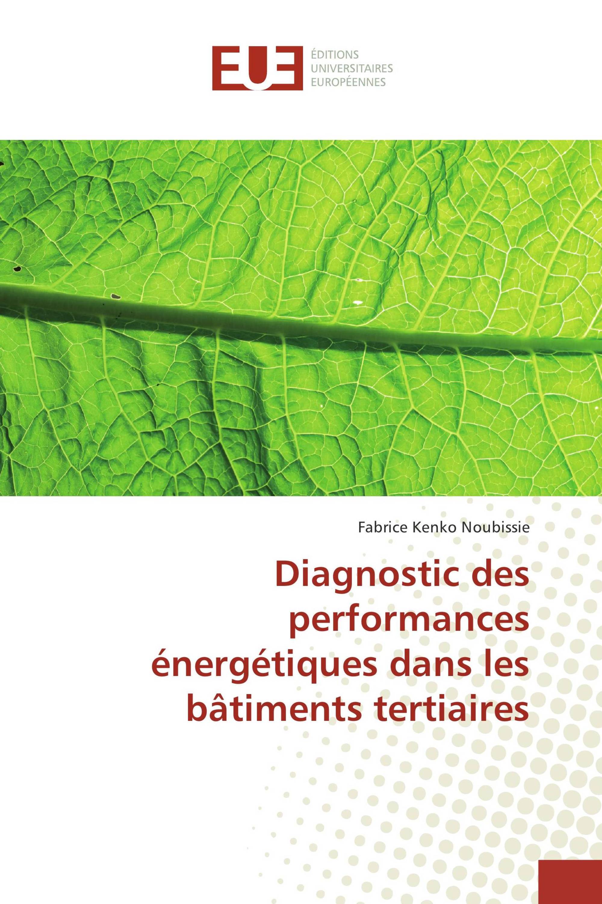 Diagnostic des performances énergétiques dans les bâtiments tertiaires