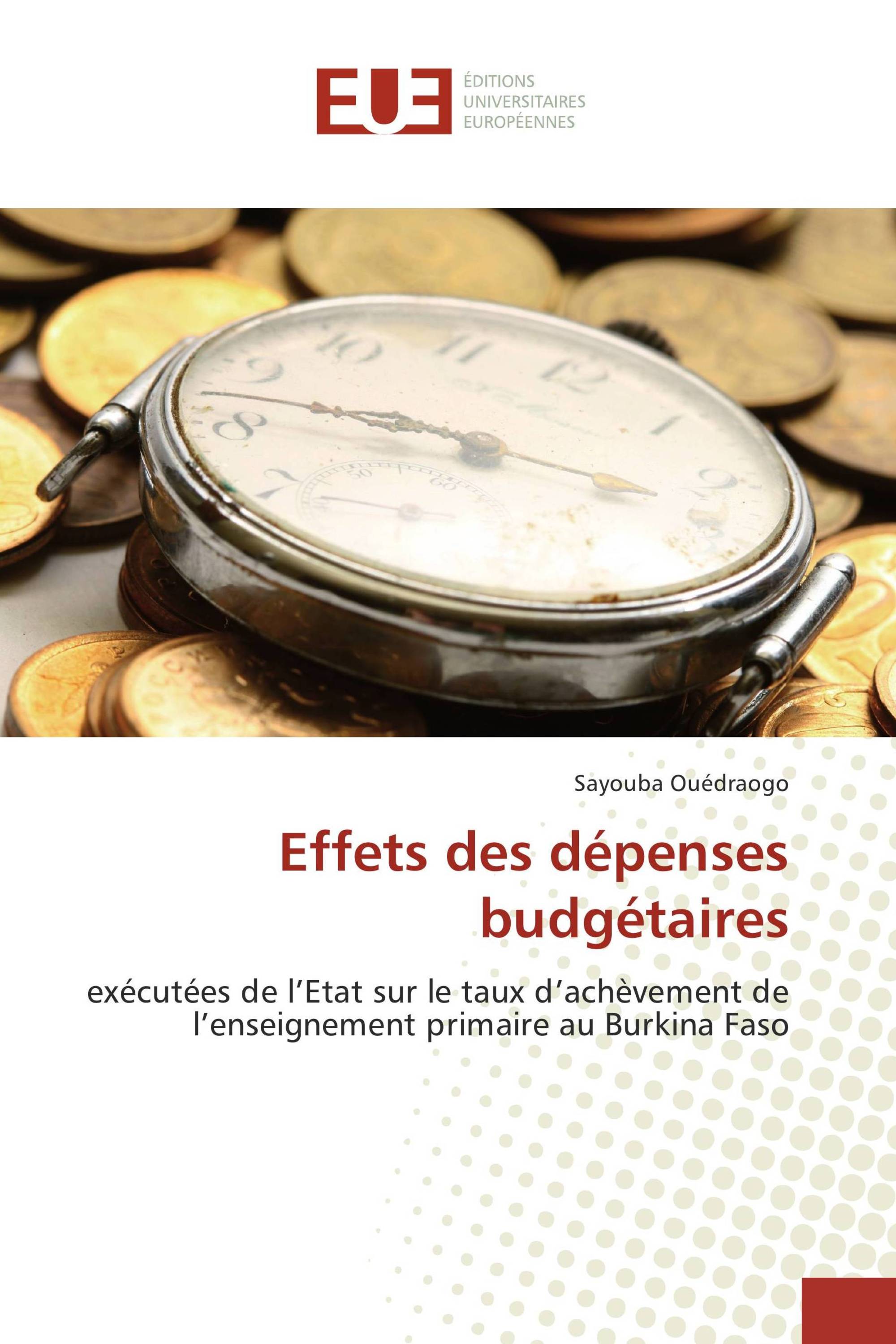 Effets des dépenses budgétaires