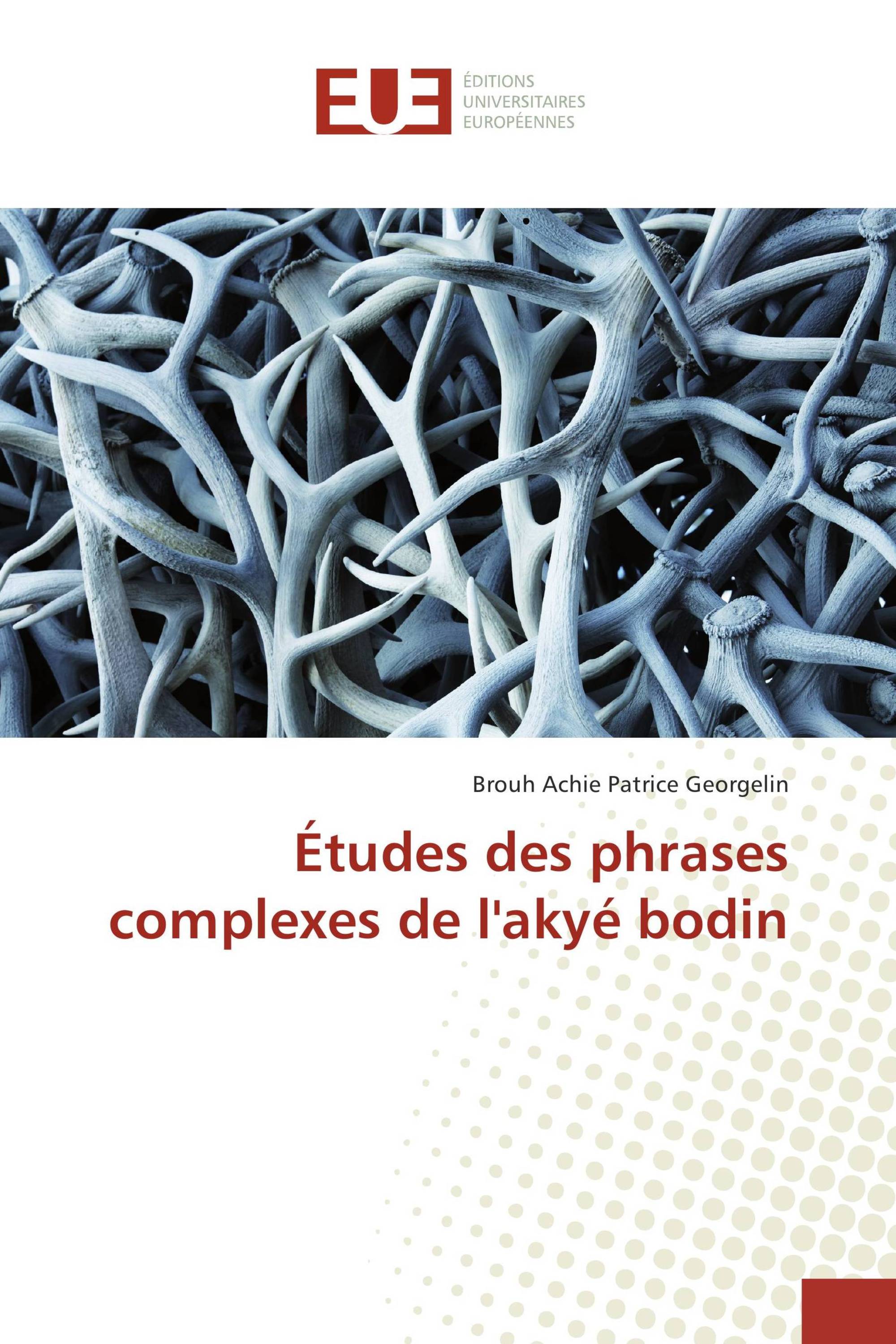 Études des phrases complexes de l'akyé bodin