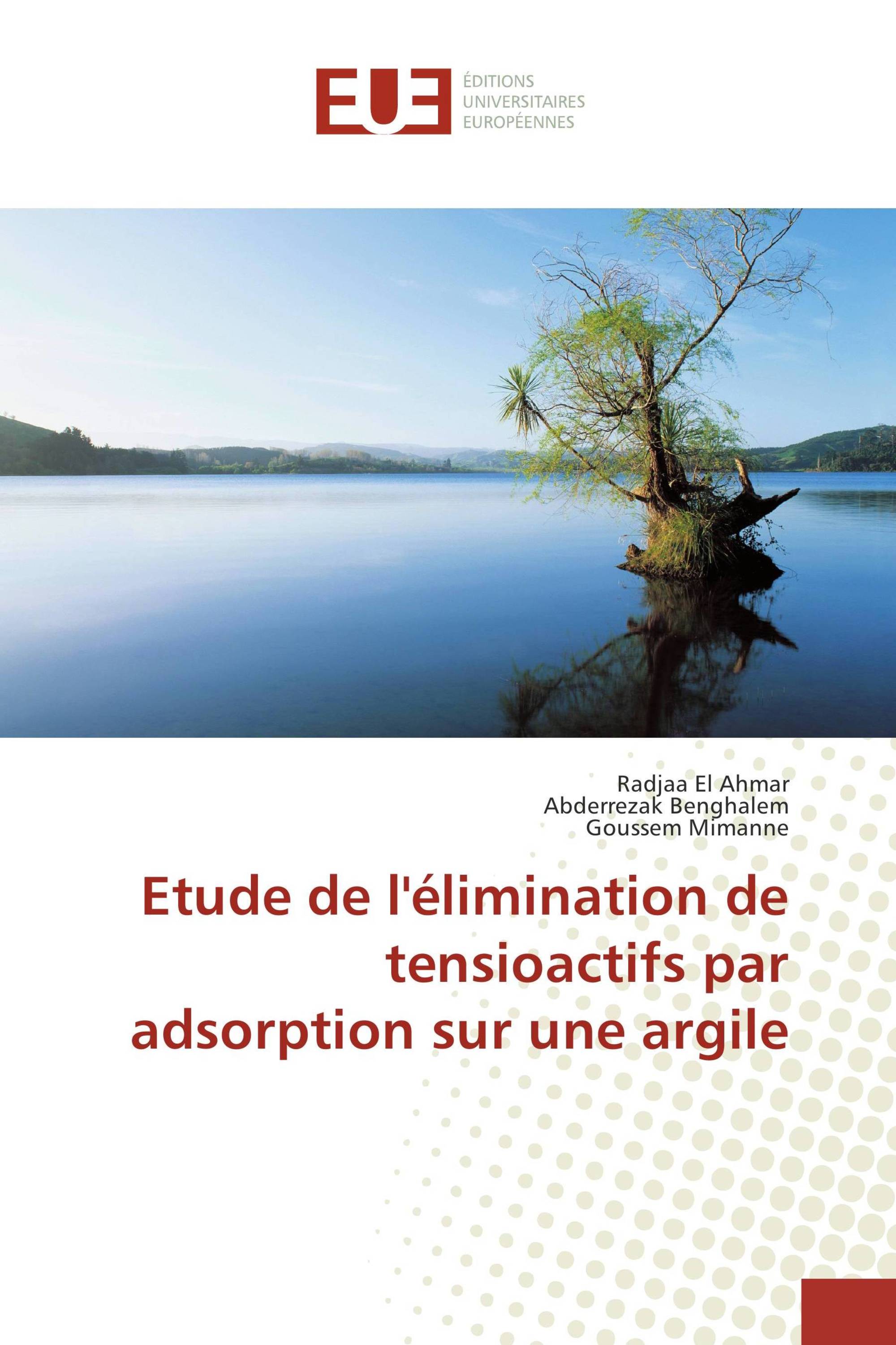 Etude de l'élimination de tensioactifs par adsorption sur une argile