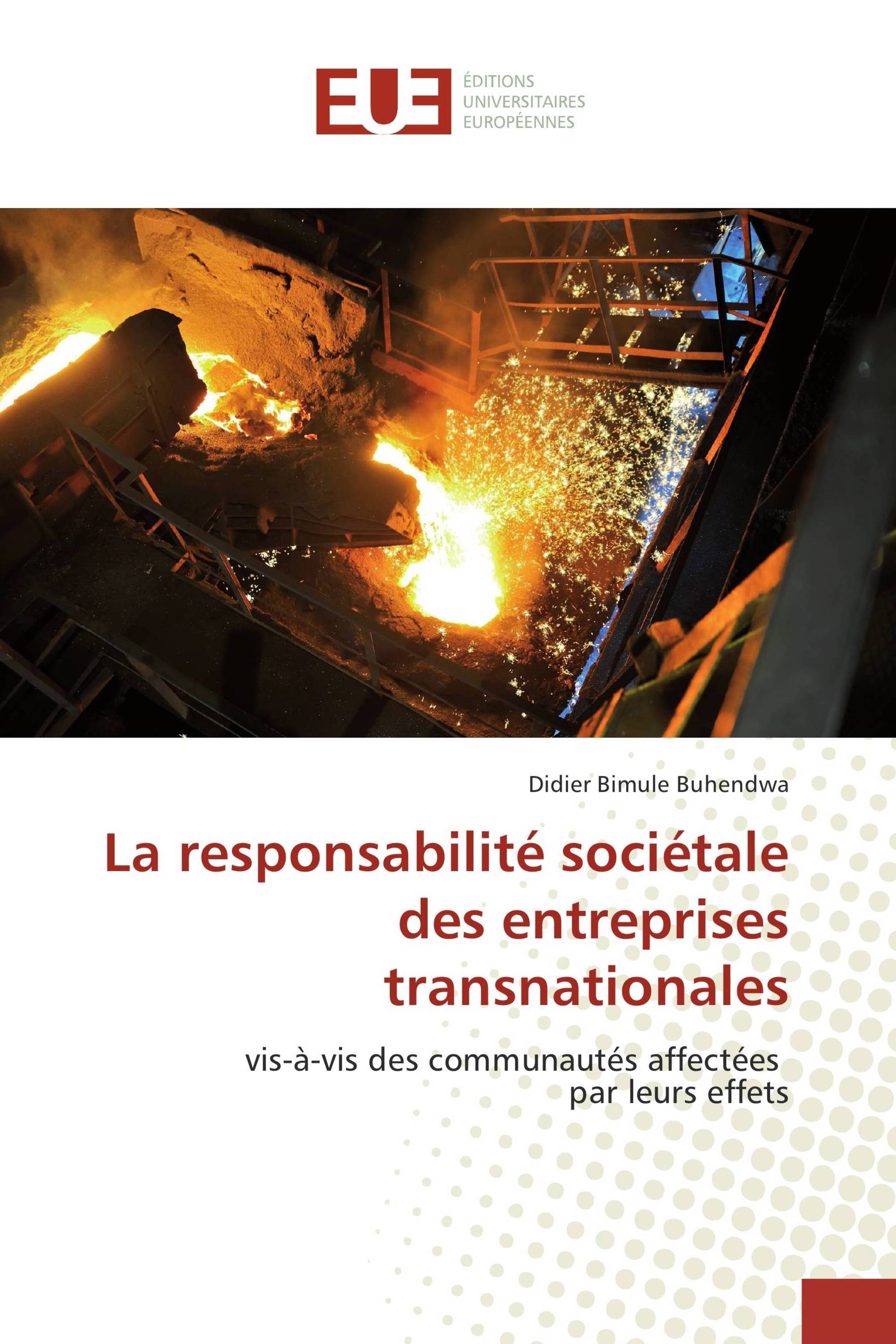 La responsabilité sociétale des entreprises transnationales