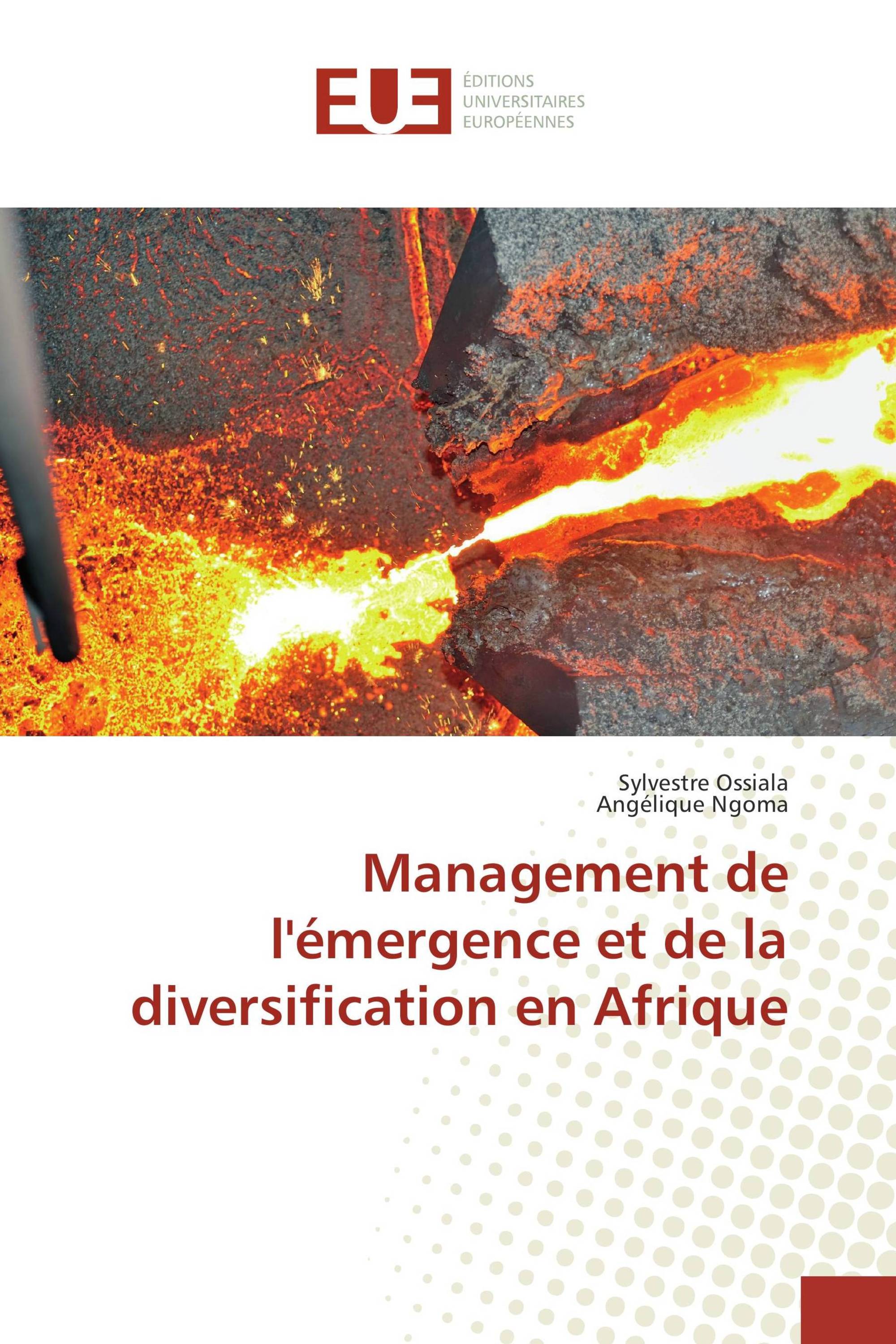 Management de l'émergence et de la diversification en Afrique