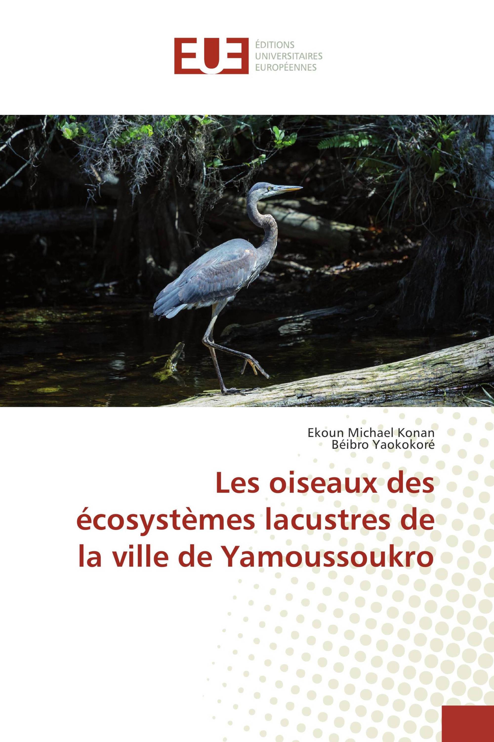 Les oiseaux des écosystèmes lacustres de la ville de Yamoussoukro