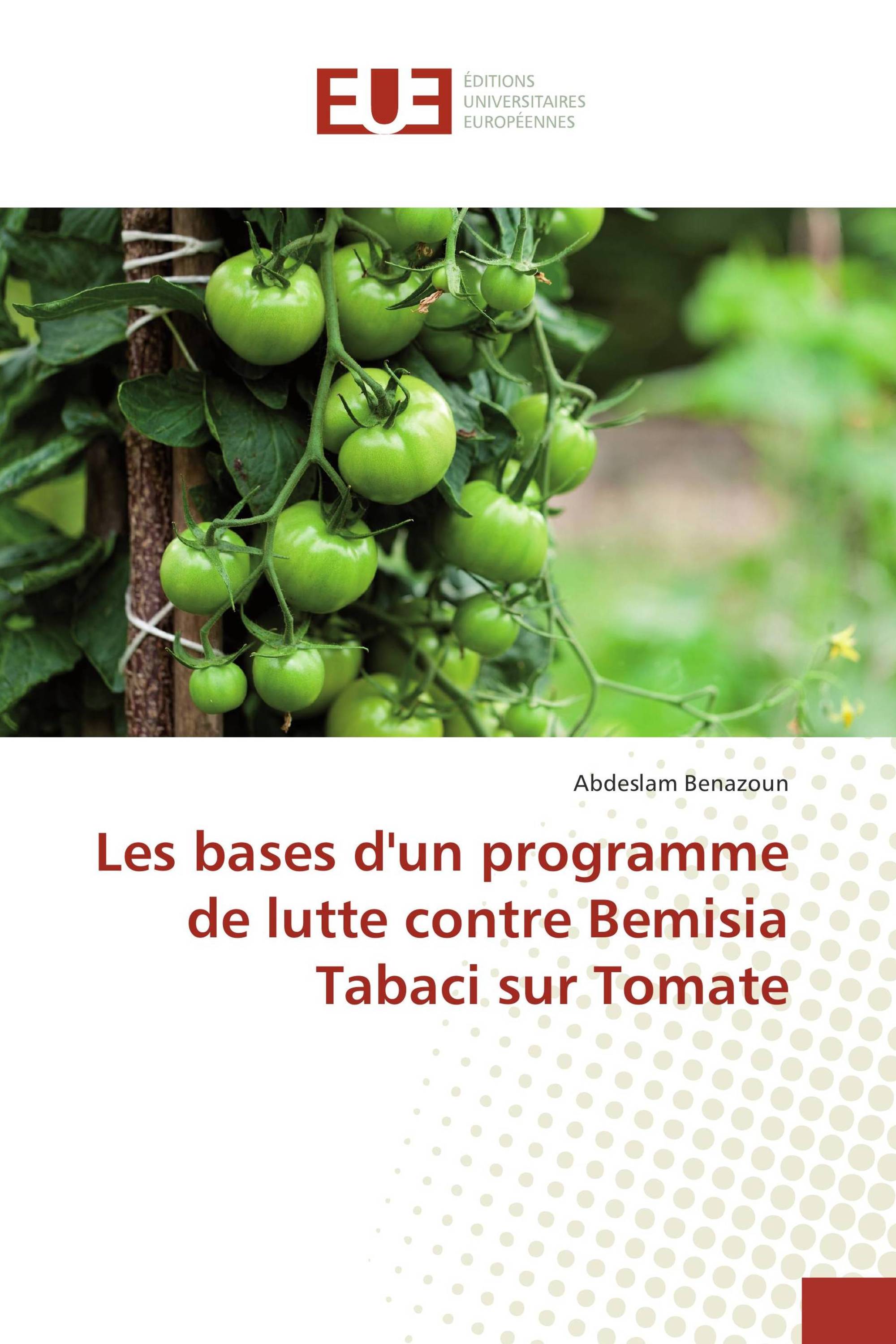 Les bases d'un programme de lutte contre Bemisia Tabaci sur Tomate