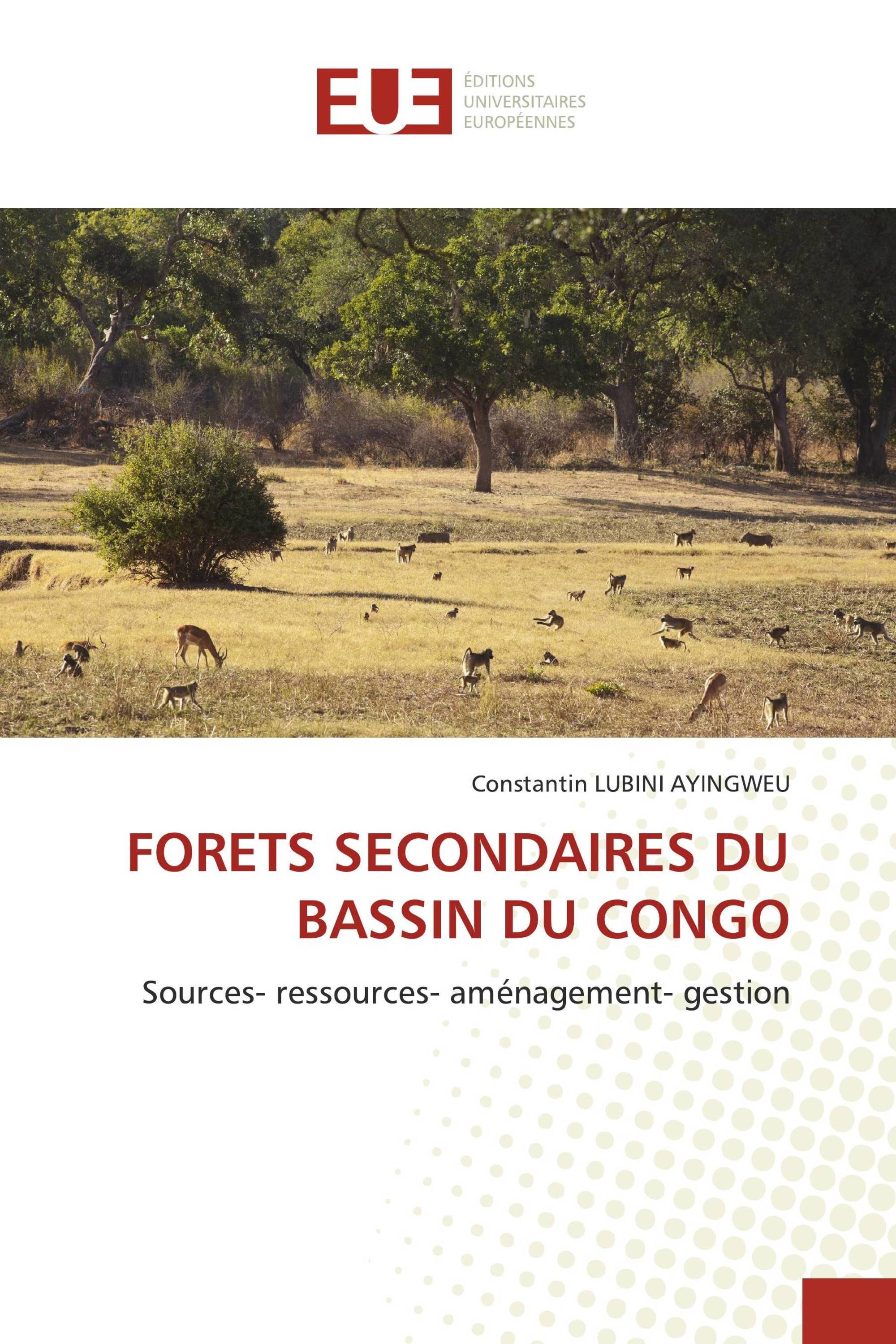 FORETS SECONDAIRES DU BASSIN DU CONGO