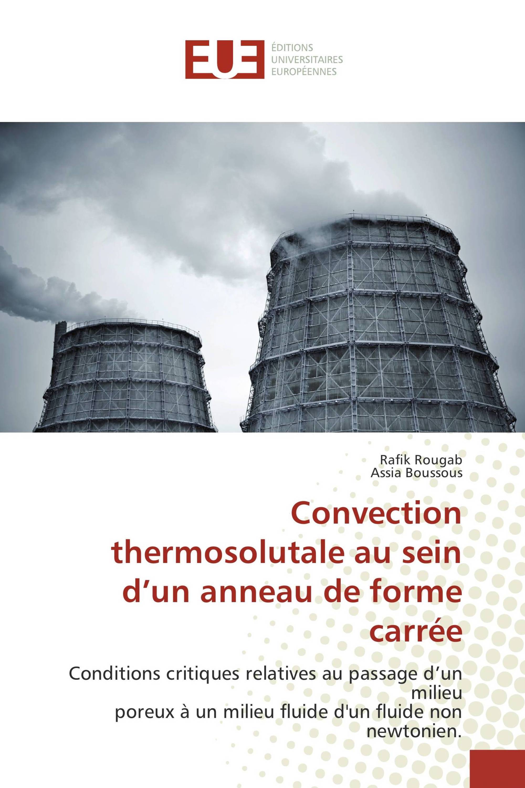 Convection thermosolutale au sein d’un anneau de forme carrée