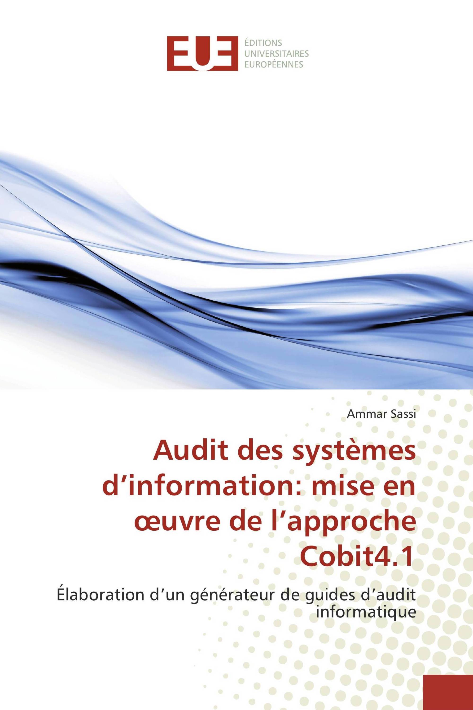 Audit des systèmes d’information: mise en œuvre de l’approche Cobit4.1