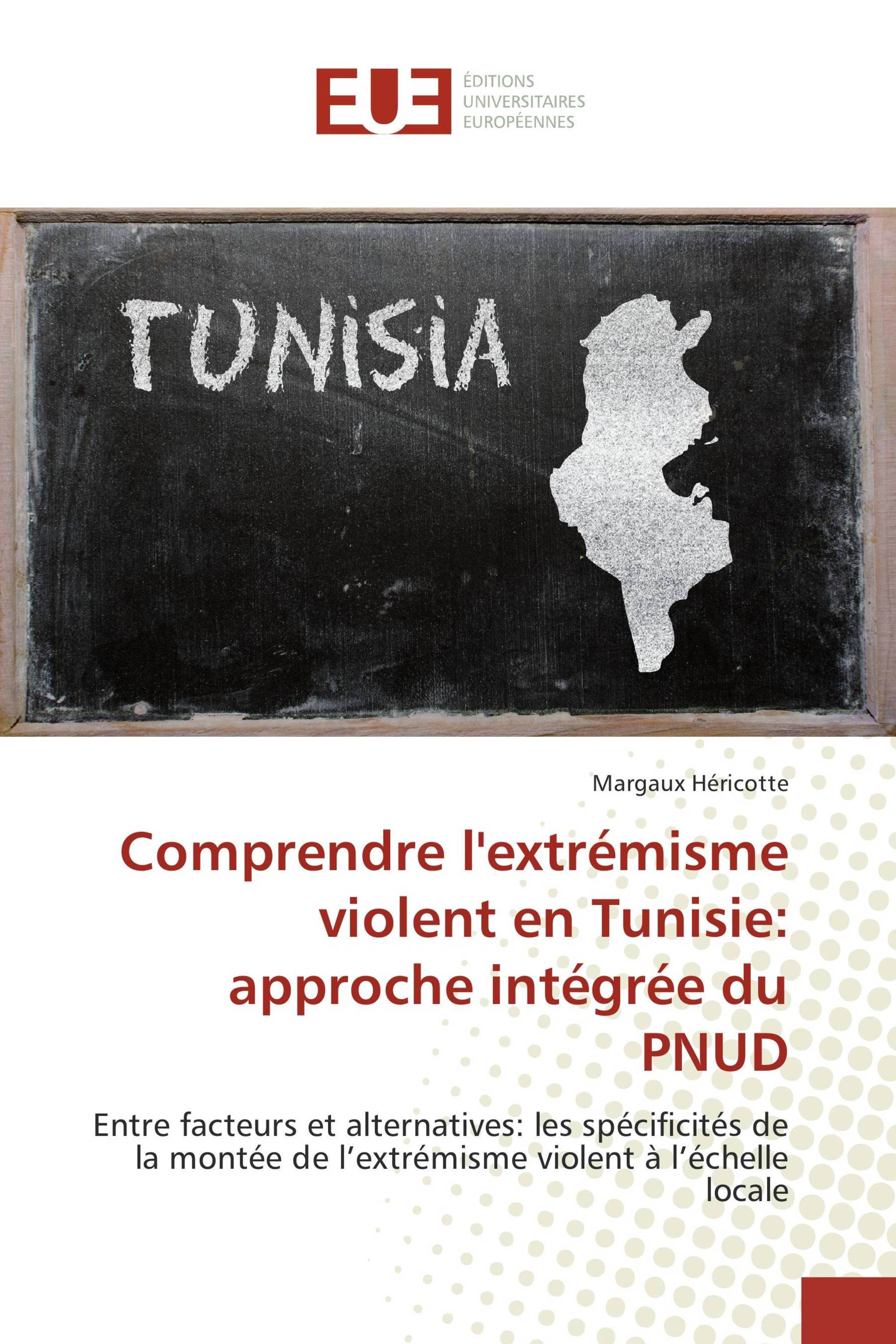 Comprendre l'extrémisme violent en Tunisie: approche intégrée du PNUD