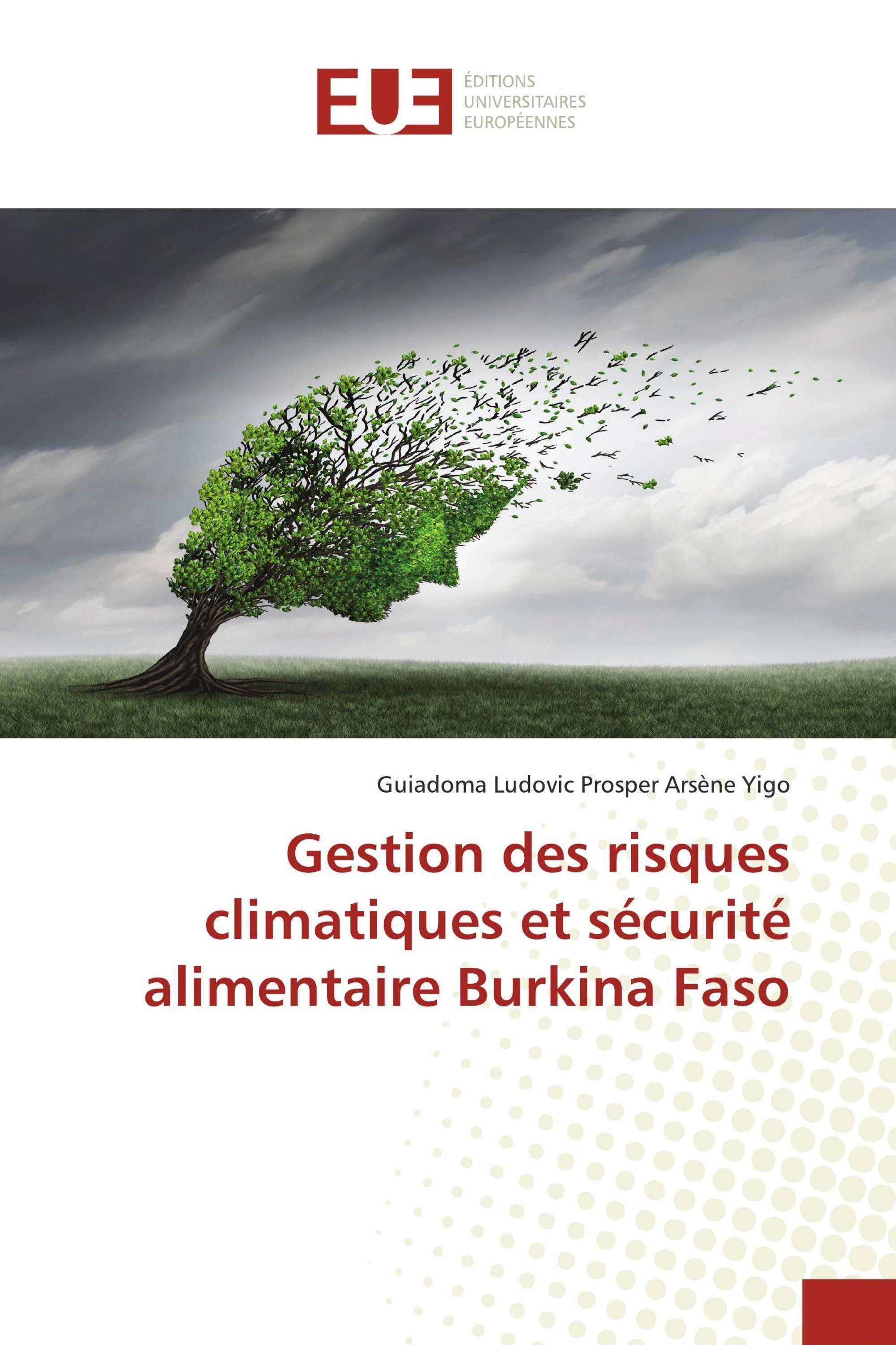 Gestion des risques climatiques et sécurité alimentaire Burkina Faso