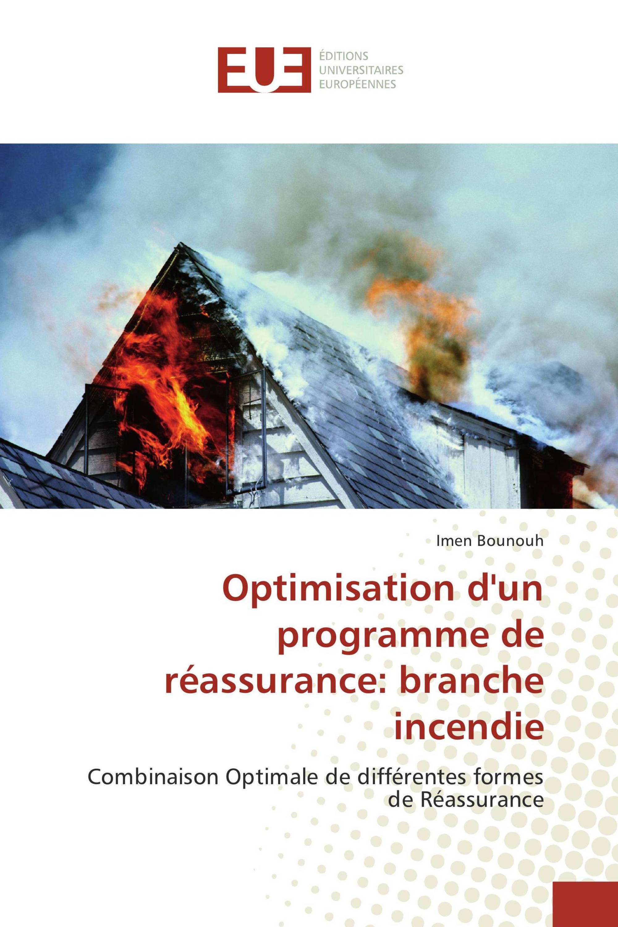 Optimisation d'un programme de réassurance: branche incendie