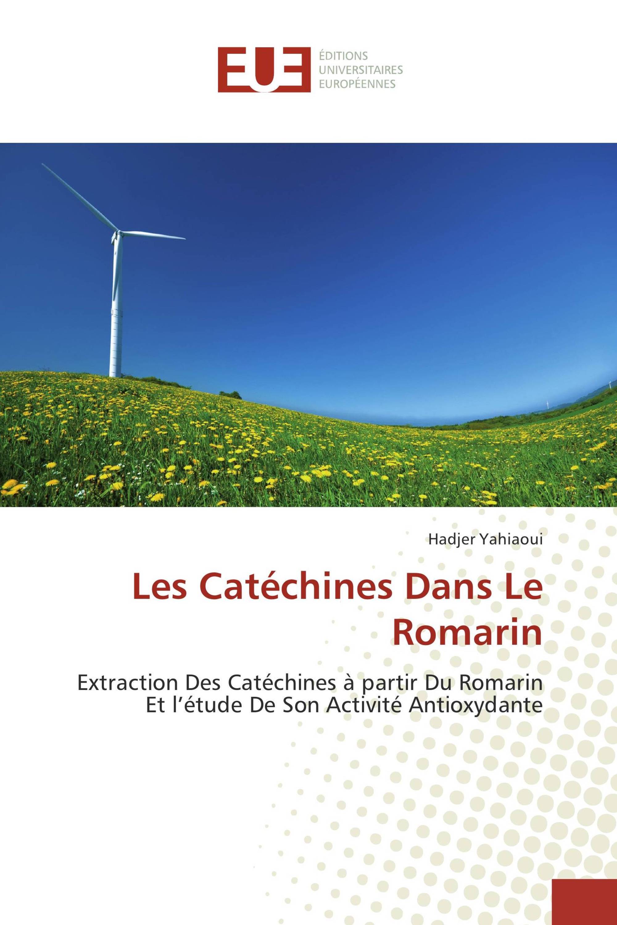 Les Catéchines Dans Le Romarin