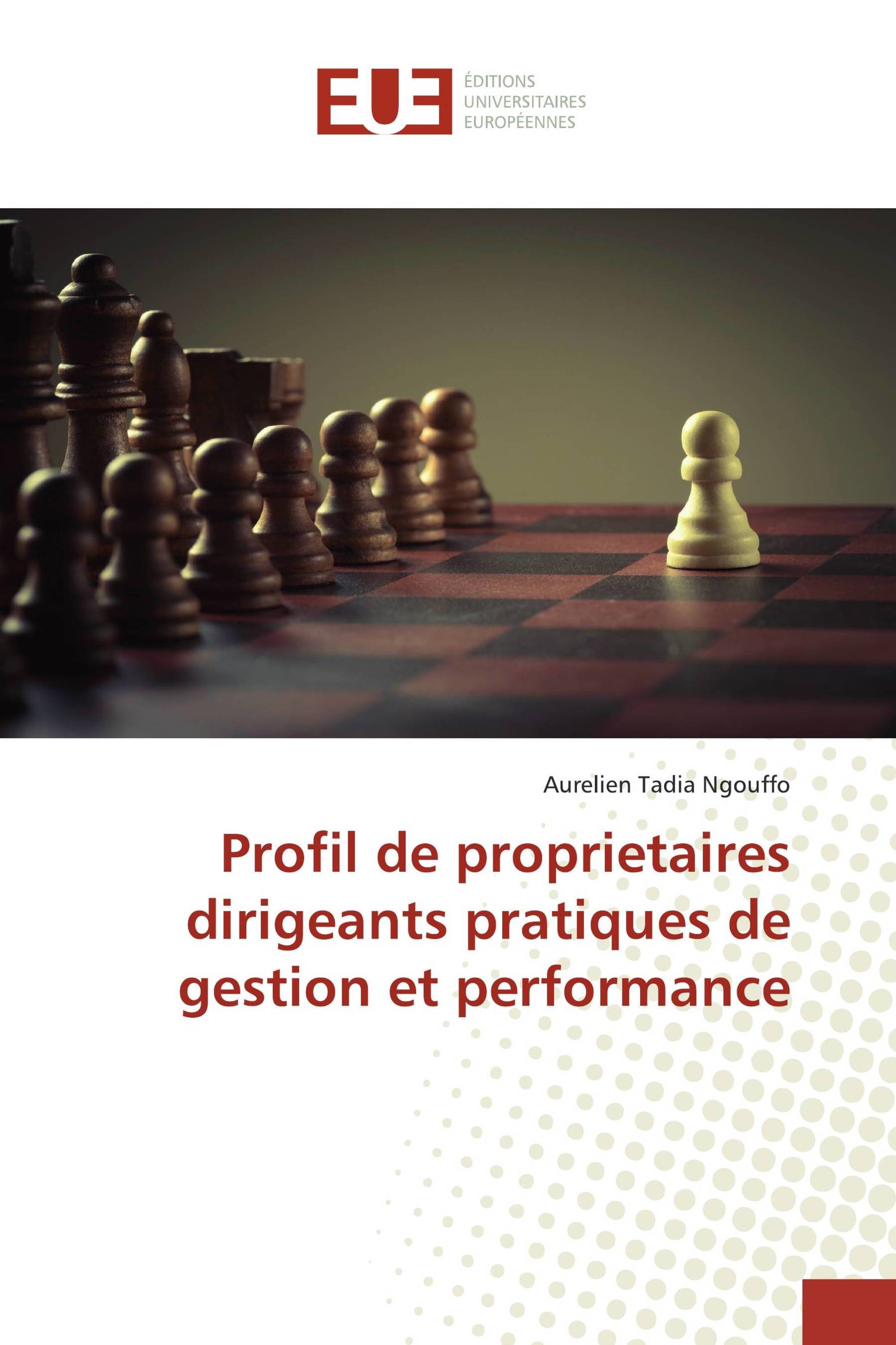 Profil de proprietaires dirigeants pratiques de gestion et performance