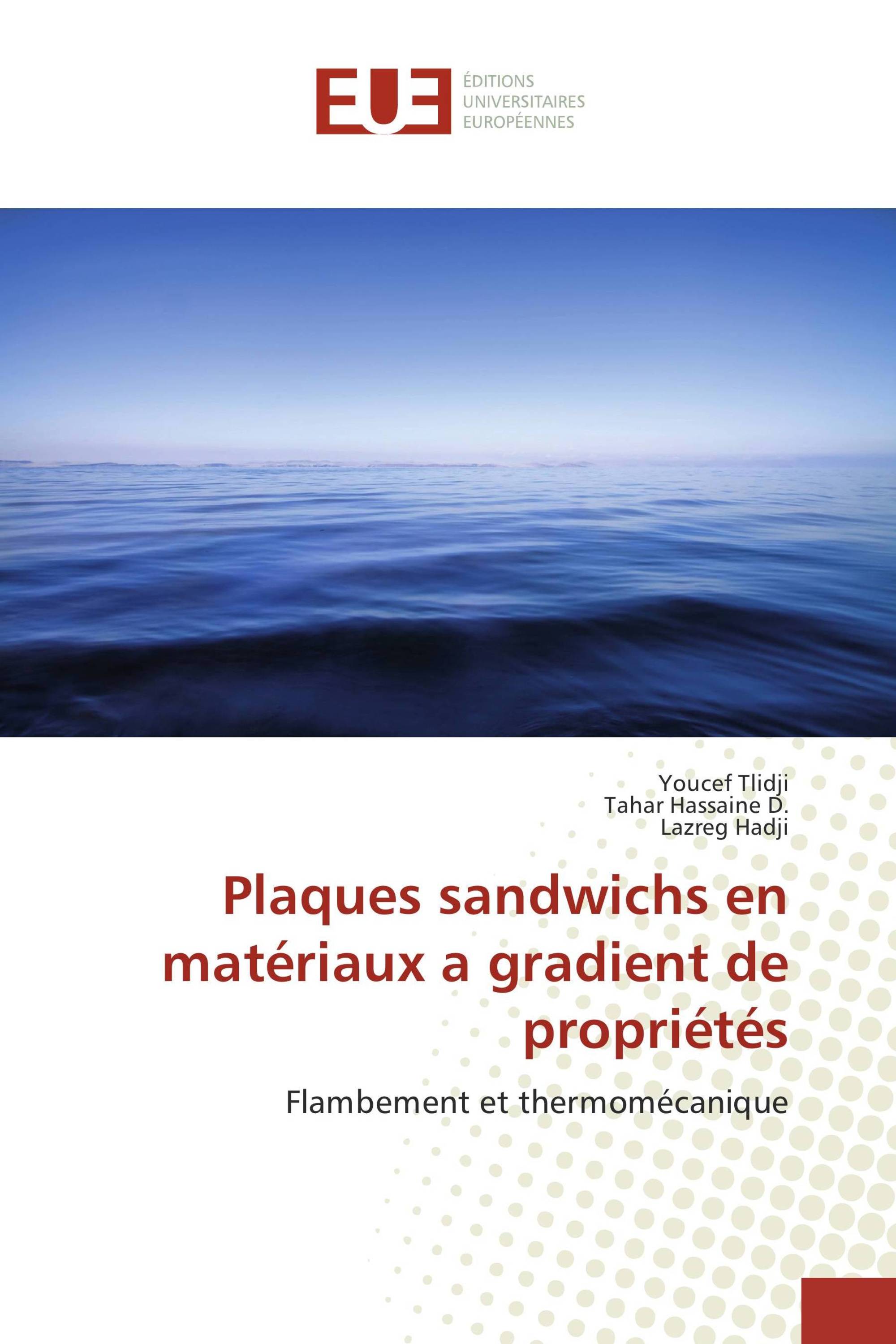 Plaques sandwichs en matériaux a gradient de propriétés