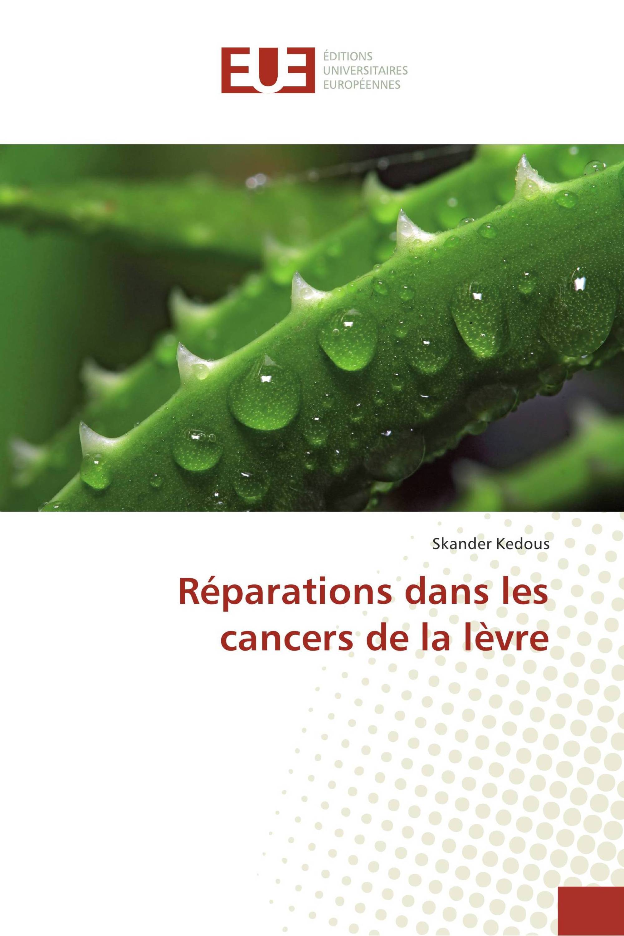 Réparations dans les cancers de la lèvre