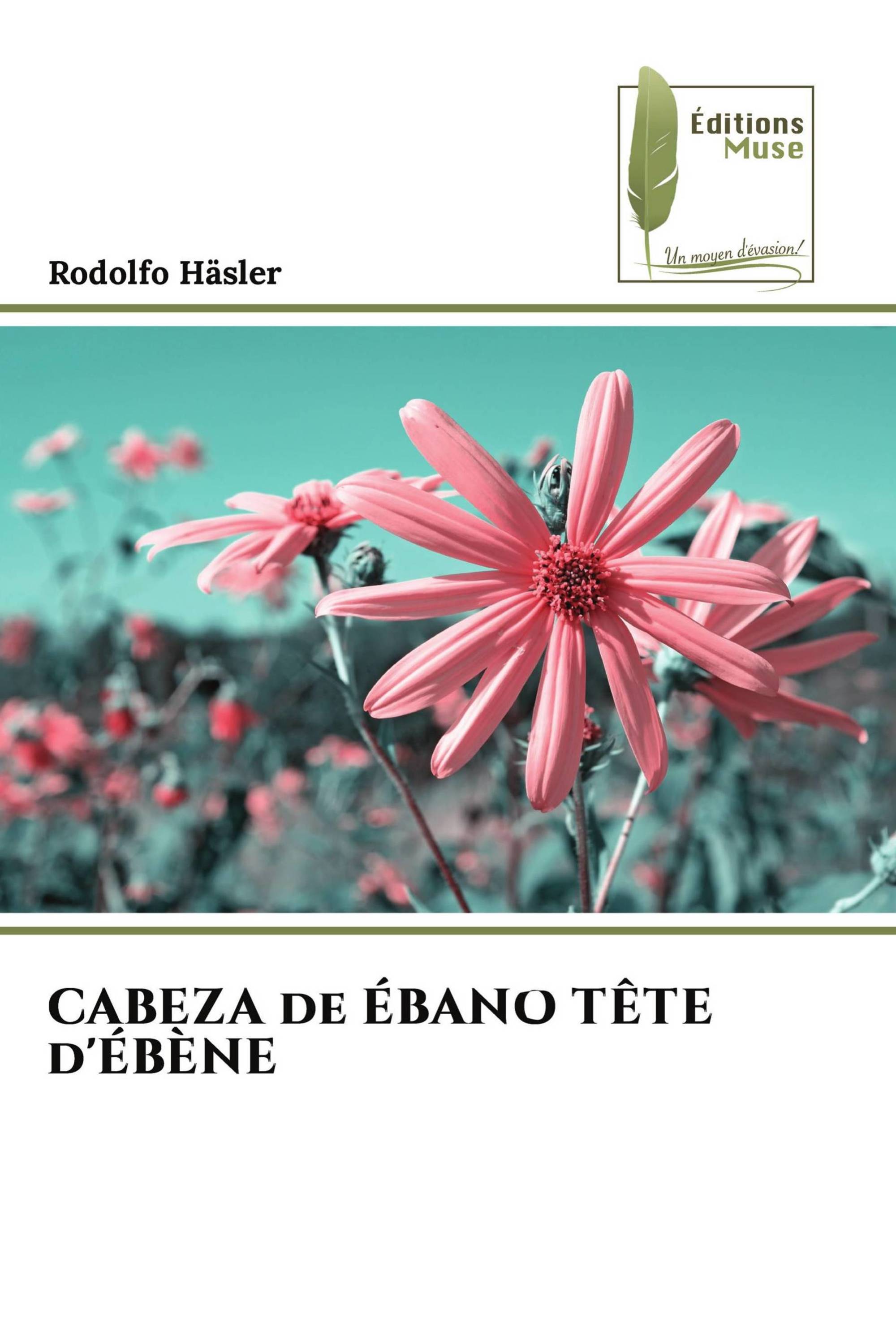 CABEZA de ÉBANO TÊTE d'ÉBÈNE