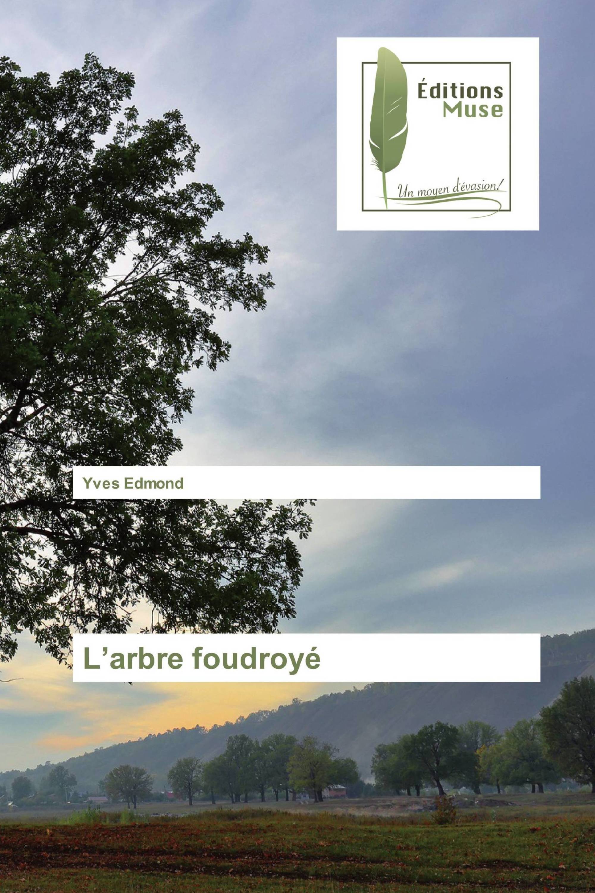 L’arbre foudroyé