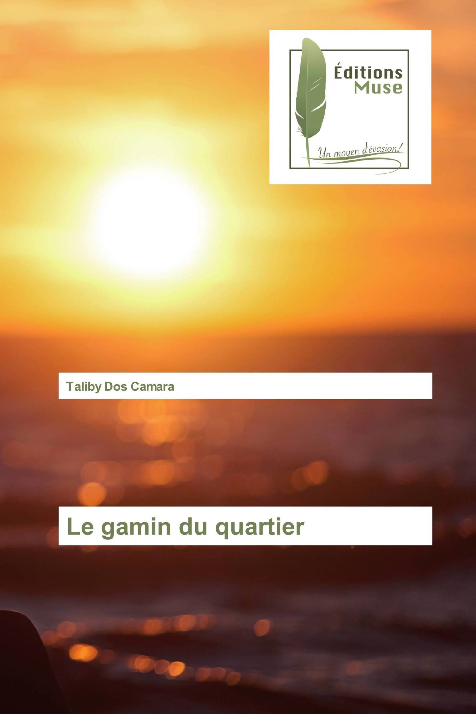 Le gamin du quartier