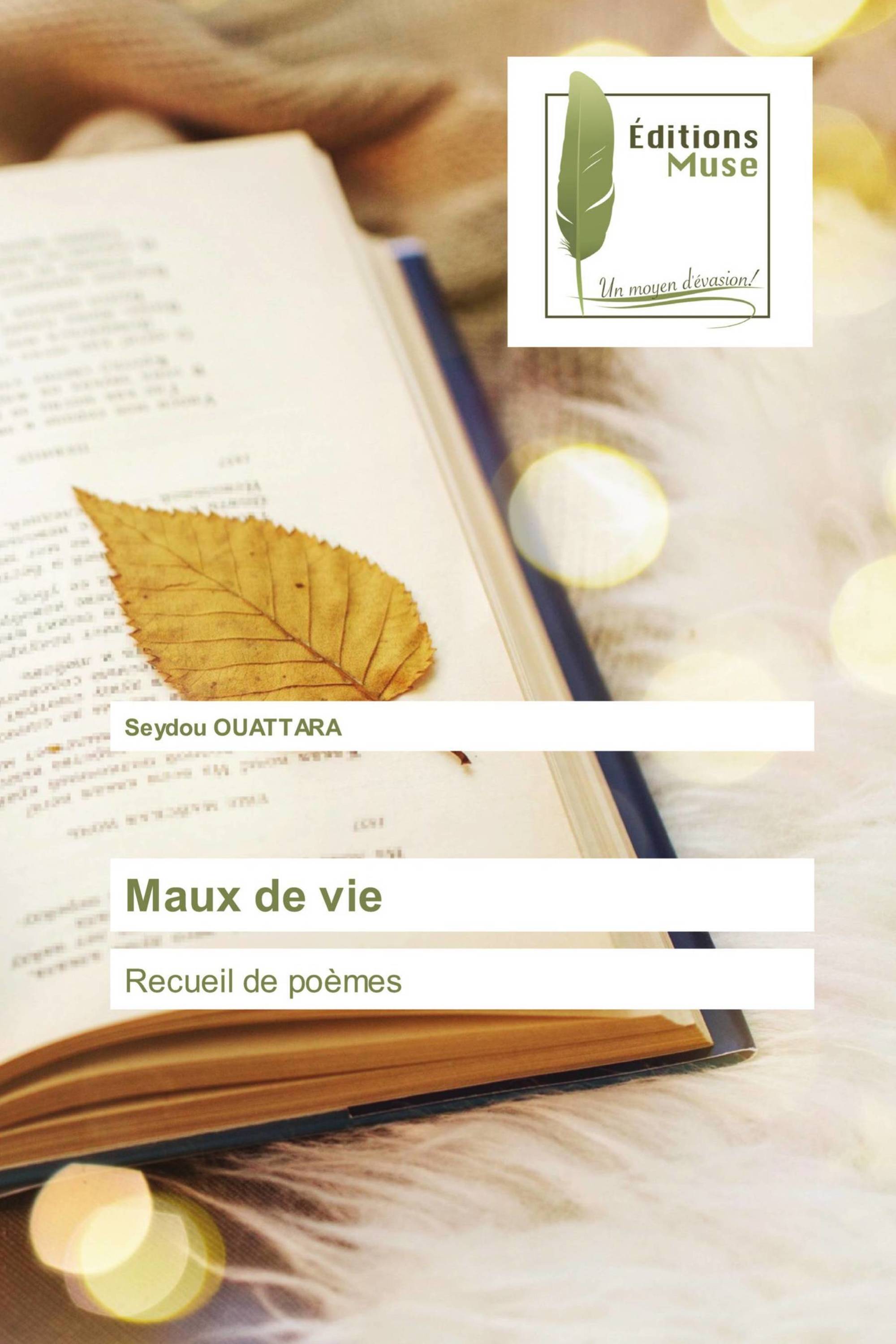 Maux de vie