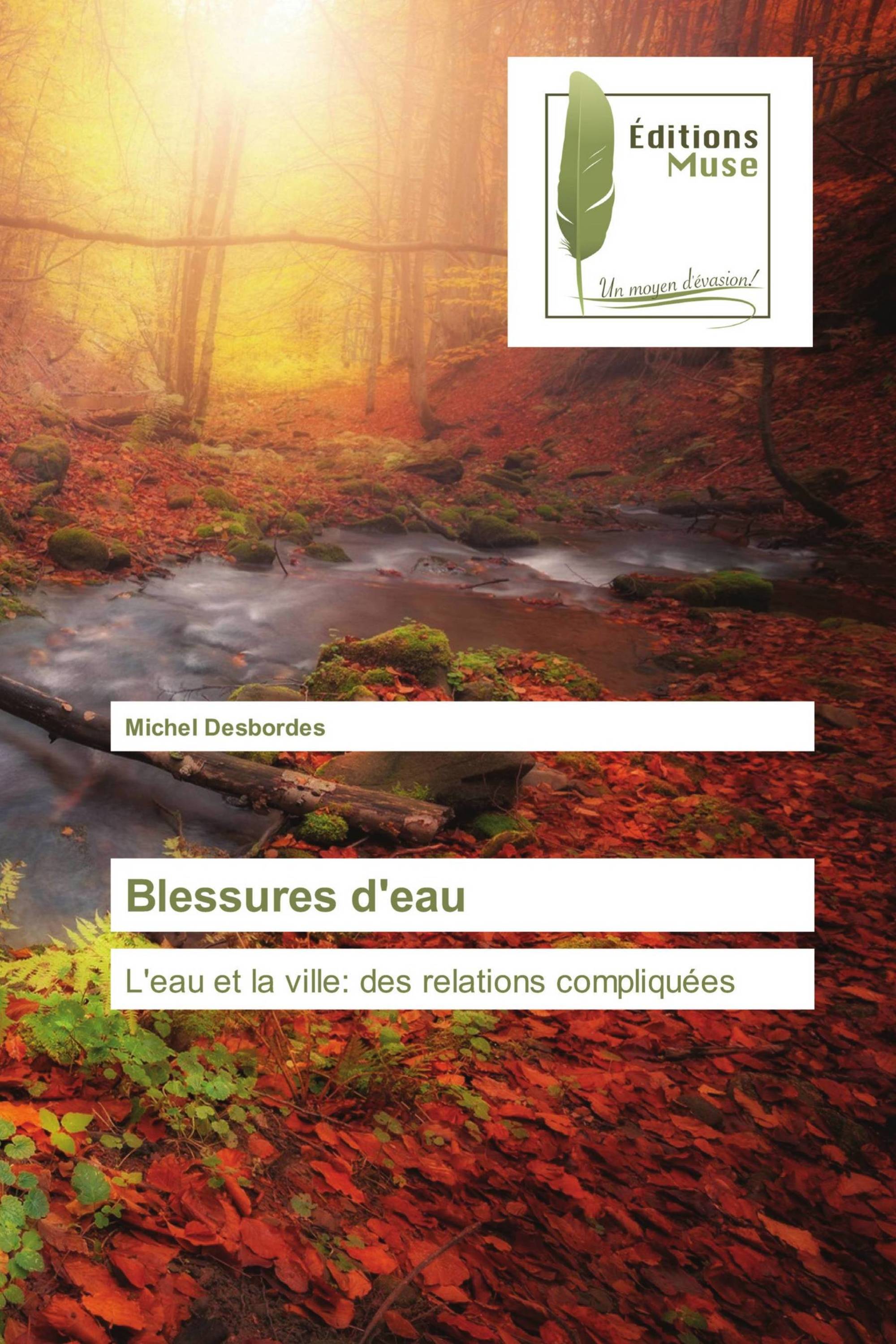 Blessures d'eau