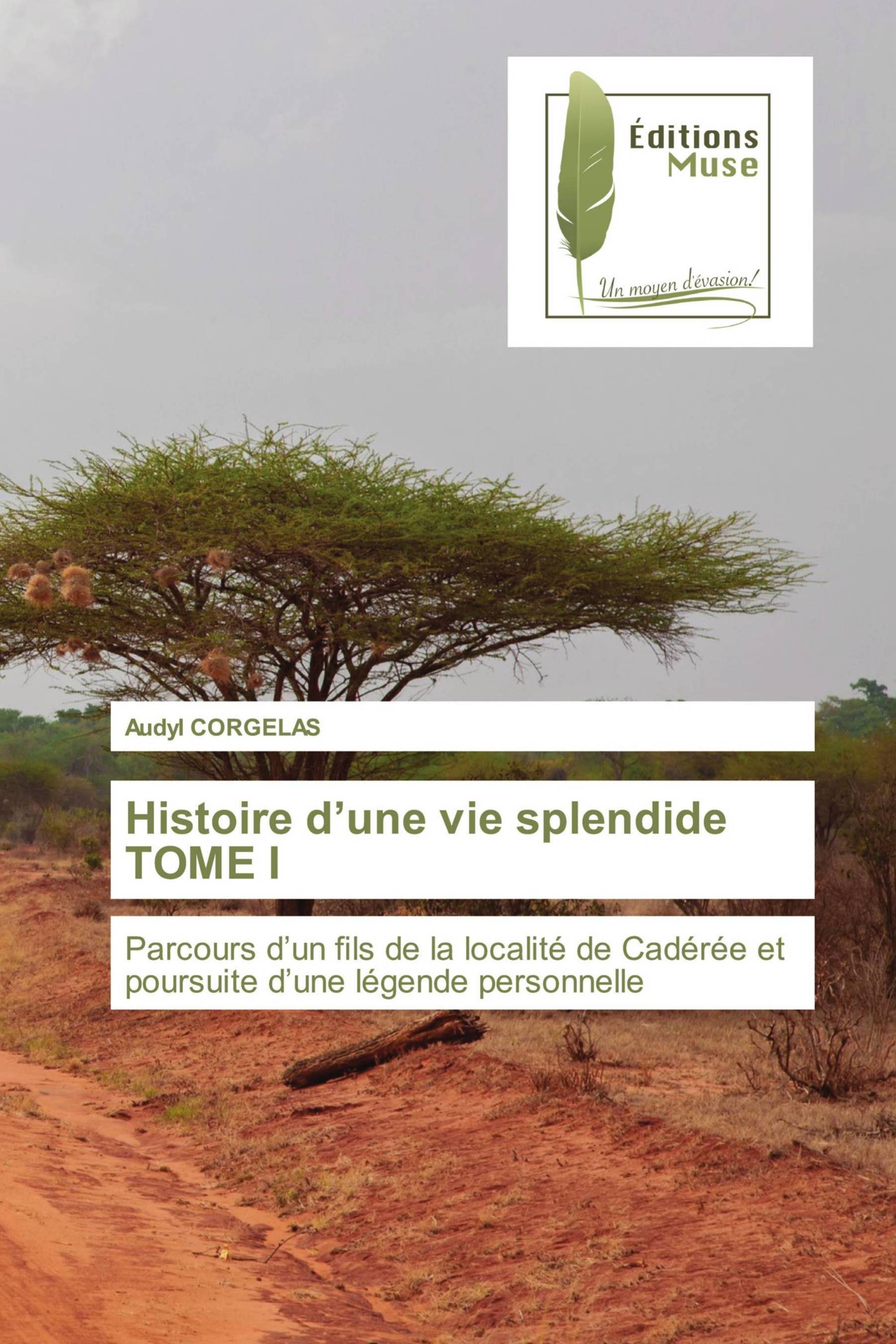 Histoire d’une vie splendide TOME I